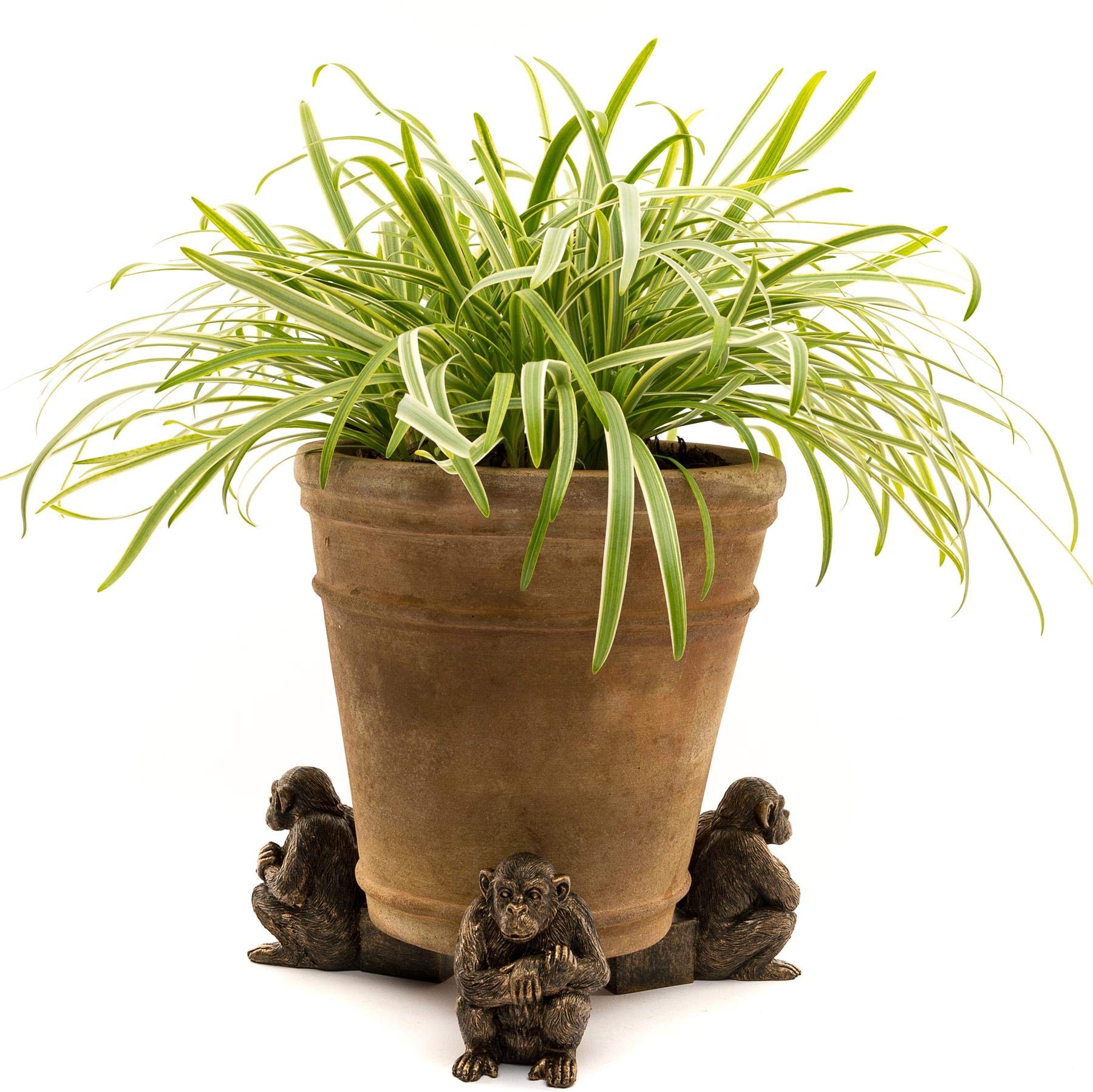 Jardinopia Chimpanzee Plant Pot FeetSet Of 3L9.5 X W6.5 X H9 Cm from B&Q