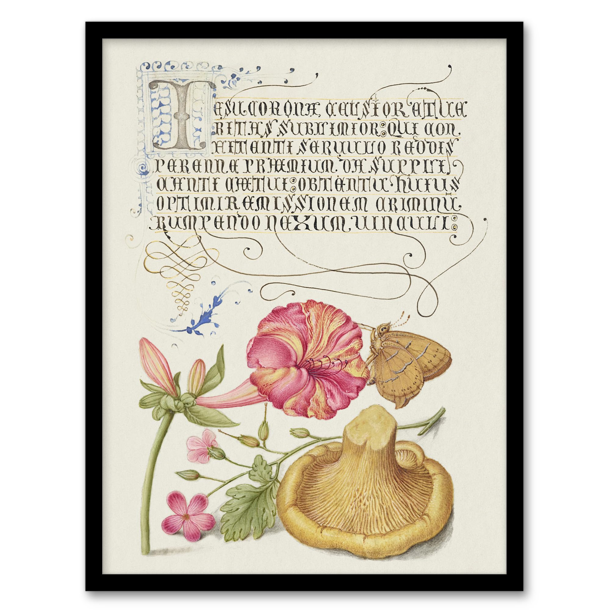 Artery8 Flowers Mushroom And Butterfly Calligraphy Framed Wall Art Print 12X16" Size 12