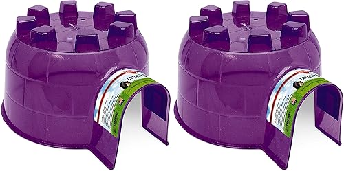 Miniatura 6 de Kaytee Igloo Habitat - Escondite para hámsteres enanos, ratones y otros animales pequeños, Itty Bitty (paquete de 2)