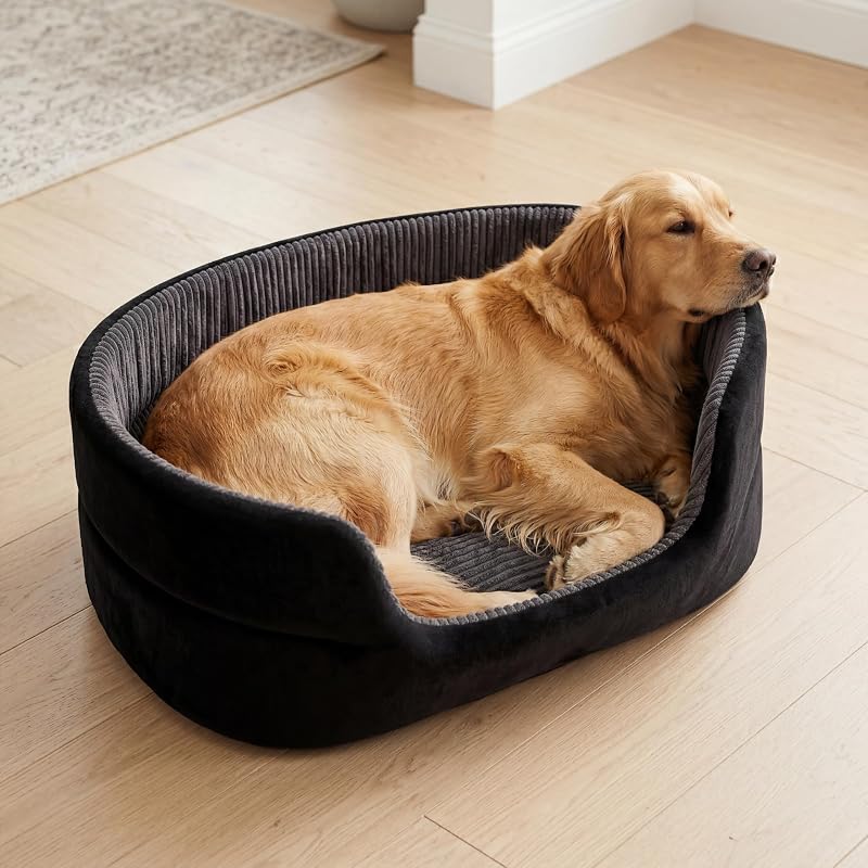 Cama Grande para Cães e Gatos em Veludo com Bordas Elevadas e Lavável – TailThrone, 76,2 x 50,8 x 25,4 cm, Preta