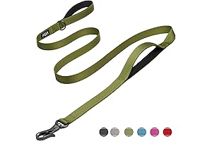 Fida Heavy Duty 6 ft Dog Leash for Large Dogs