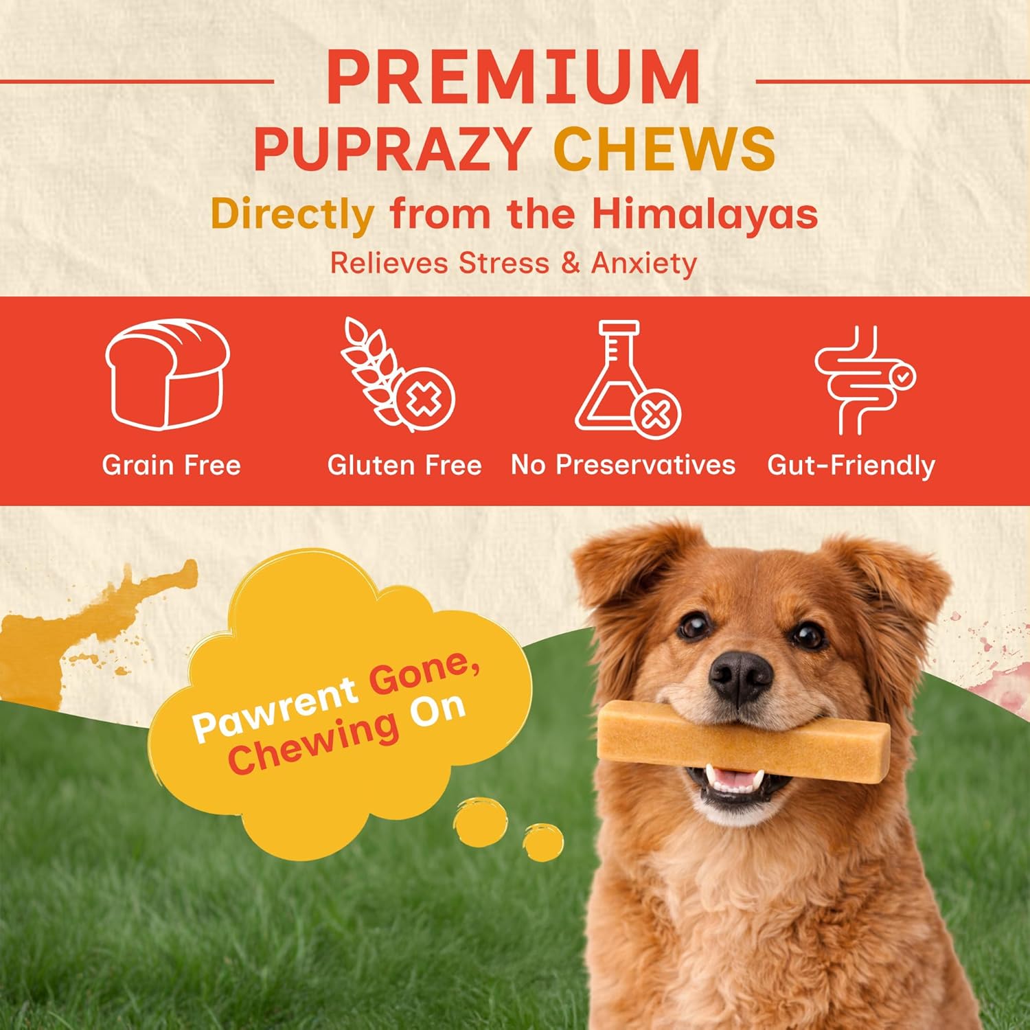 Himalayan Yak Cheese Dog Chew Bars | 3-Flavor Pack (Natural, Turmeric & Strawberry) | All Natural, Junk-Free Dog Treats | Long-Lasting Dental Chews (4.2 oz) (S)