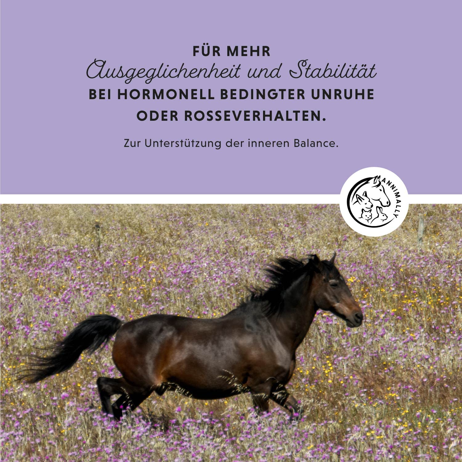 Annimally Mönchspfeffer Pferd Liquid - 1000ml mit Ashwagandha, Magnesium, Süßholzwurzel flüssig - Bei hormonell bedingter Unruhe oder Rosseverhalten beim Pferd - Mönchspfeffer für Pferde