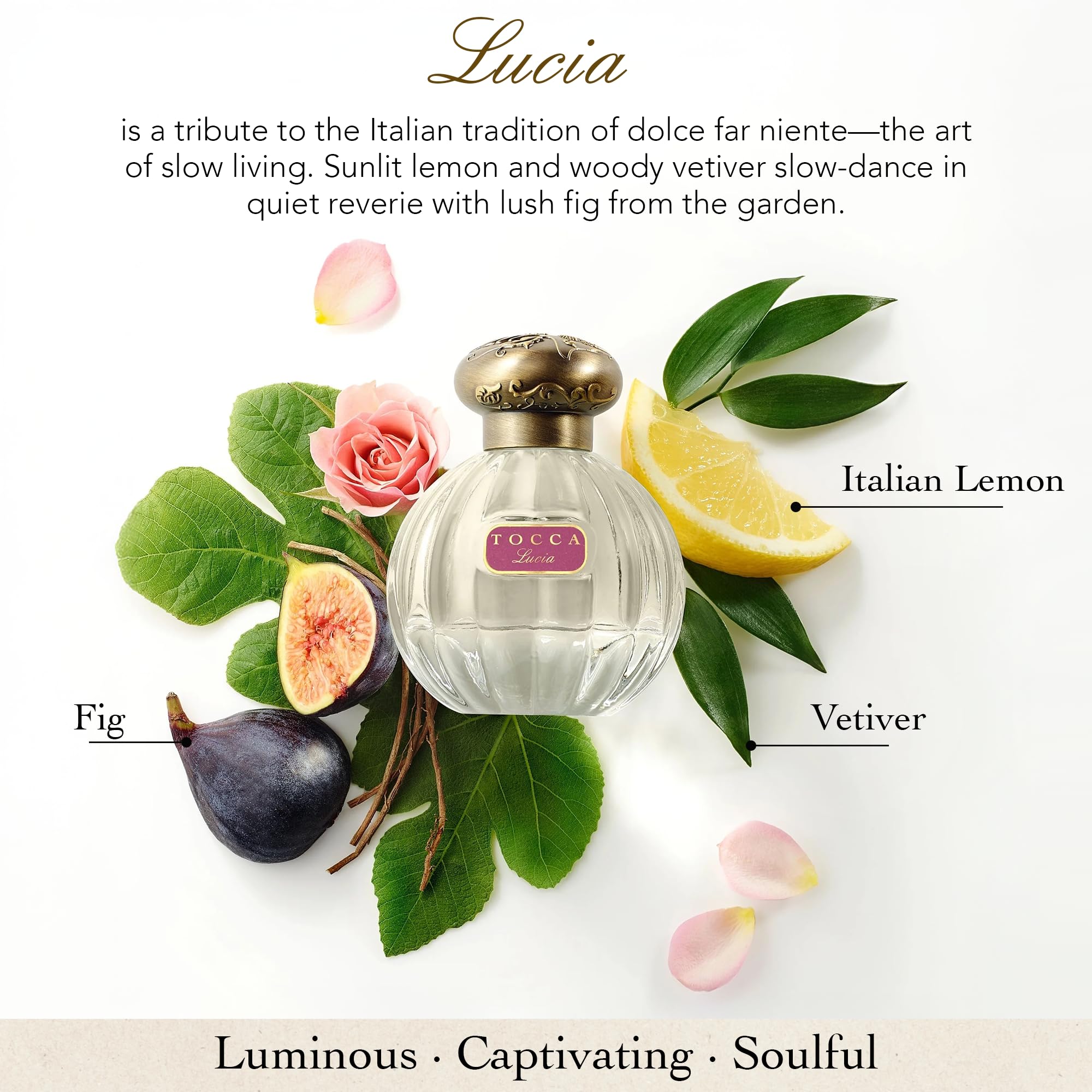Amazon.com: TOCCA: Eau de Parfum