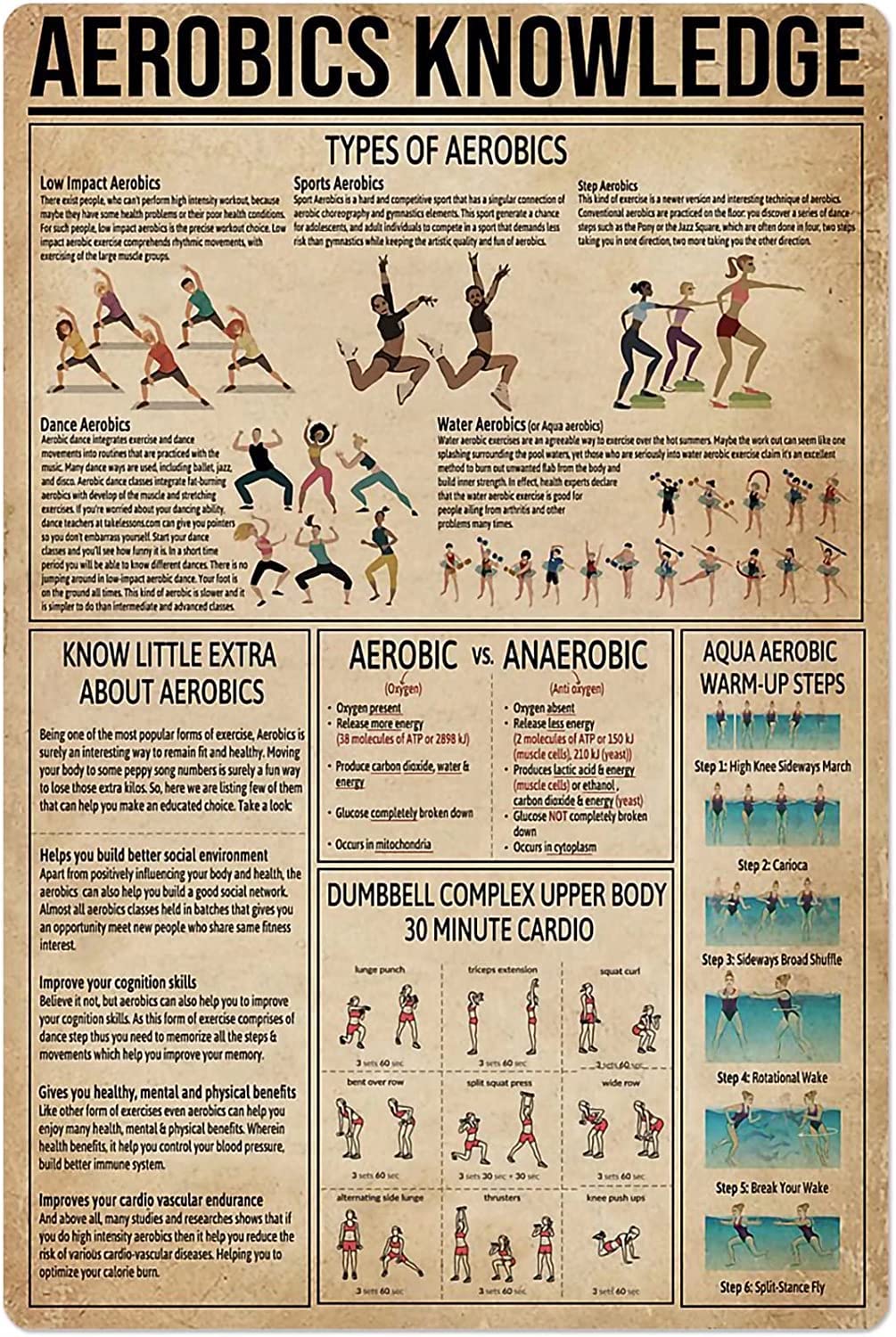 rayprint Vintage Gym Decor Types Of Aerobis Metal Signs Aerobics Knowledge Posters Club Room Infographics Wall Decor 12x16 Inches