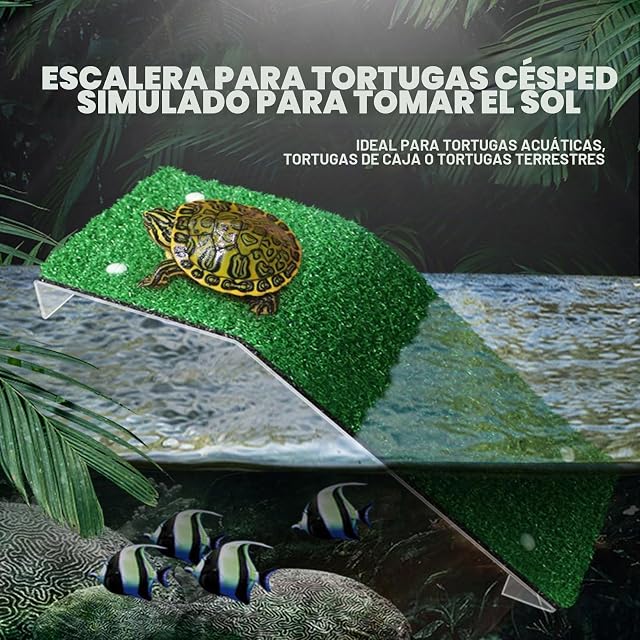 Foto 2 de 8 de Kasmole Escalada Tortuga césped - Accesorios Tortuga para decoración terrario Reptiles