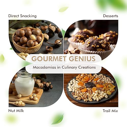 Miniatura 3 de CAREEMZ Nueces de macadamia tostadas con sabor a barbacoa, el mejor aperitivo gourmet de Malawi, sellado al vacío para mayor frescura (BBQ, 8 onzas)