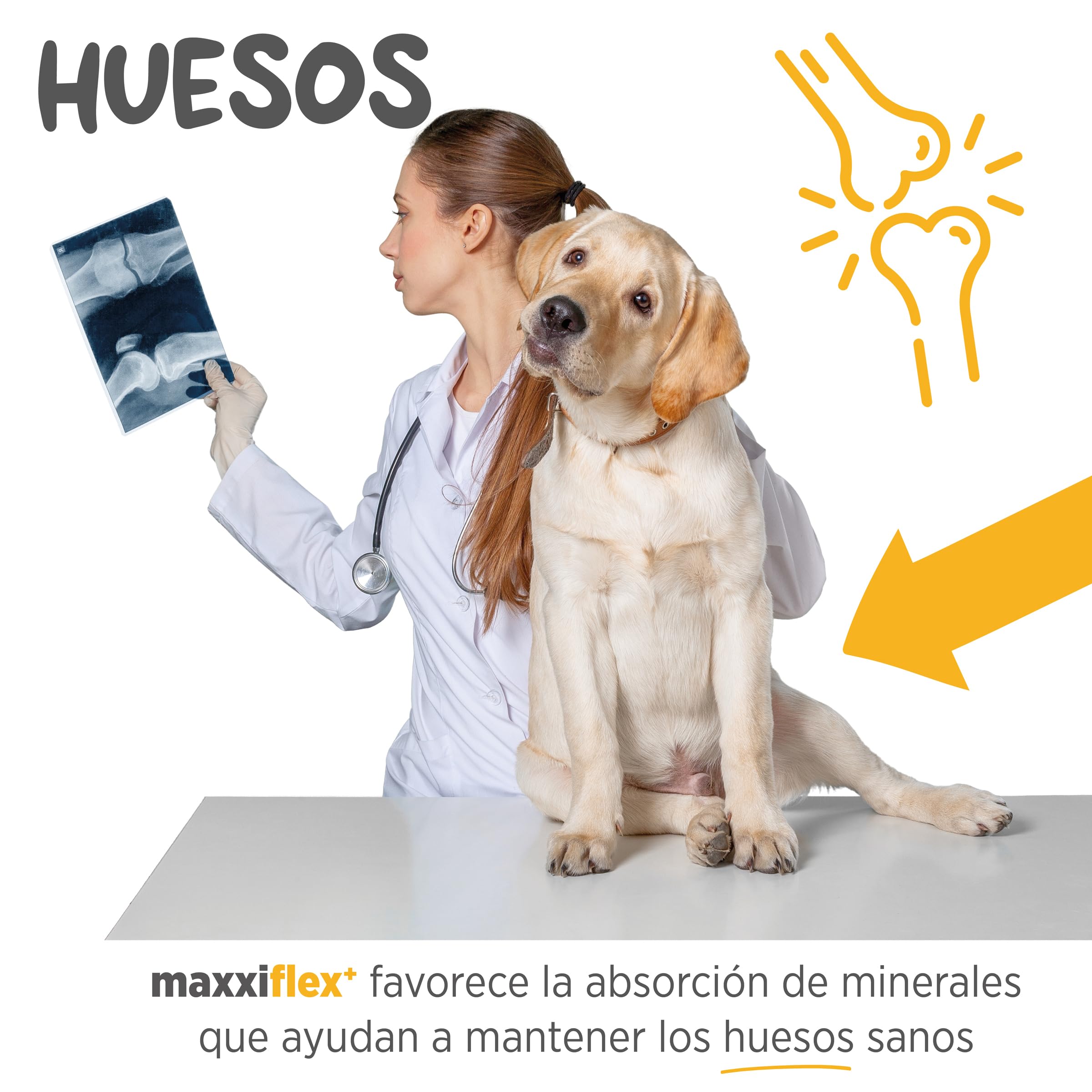 maxxipaws maxxiflex+ Caderas y Articulaciones - Suplemento Condroprotector para Perros Adultos - 120 Comprimidos