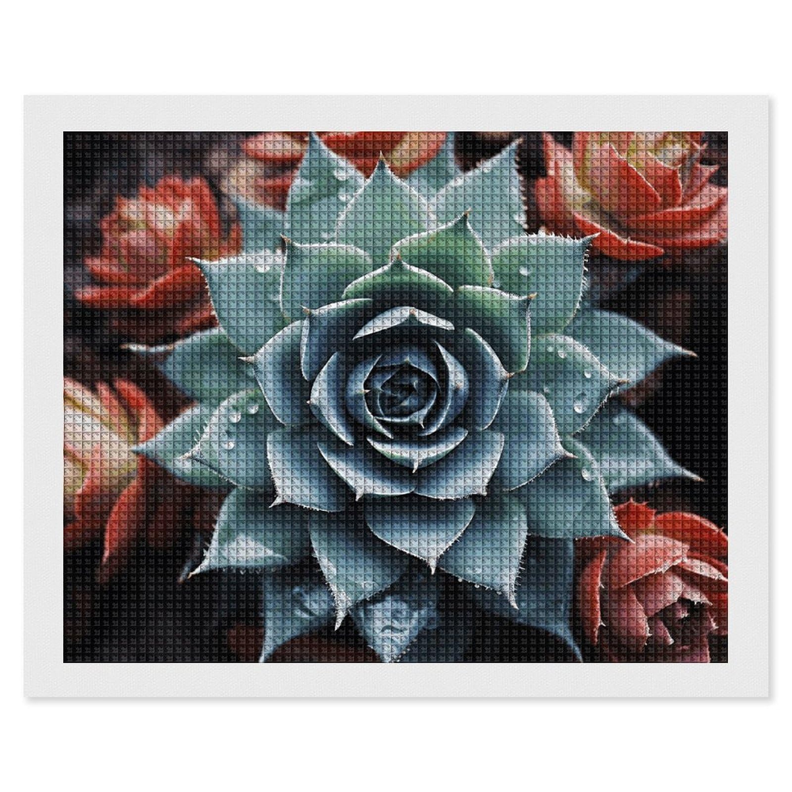 NONHAI Diamond Painting Kits for Adults - DIY Diamond Art Kits for Beginners - Full 5D Paint Drill Diamond Dots Paintings- Succulent Plant Diamonds Pictures Gem Art and Craft Wall Decor 16"x20"