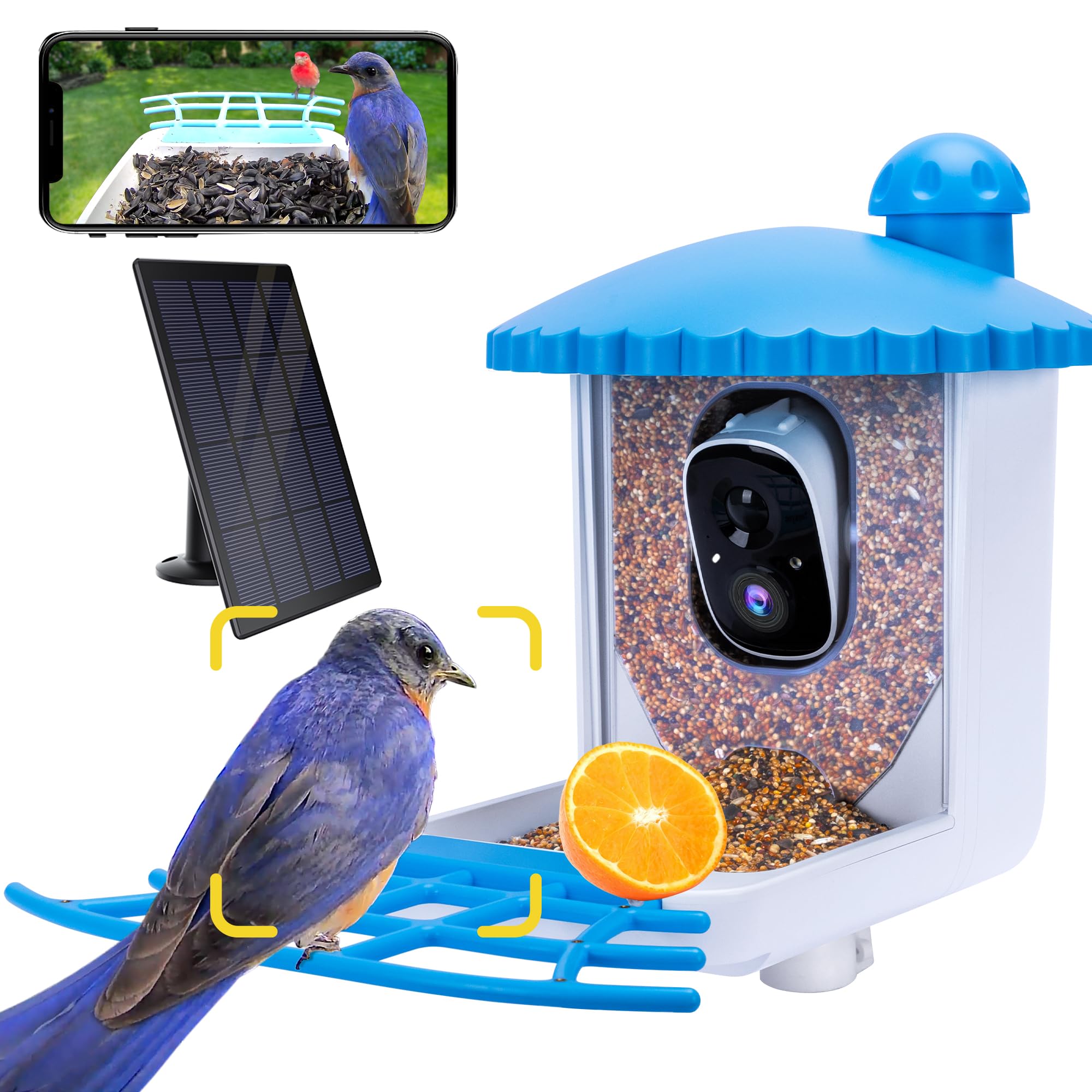 Bird Feeder with Camera, 1080P HD Bird Video Capture, 5000mAh Battery with Solar Panel, Instant Arrival Alerts, Live View, AI Bird Species Identification, Perfect for Bird LoversCarbonfree Certified