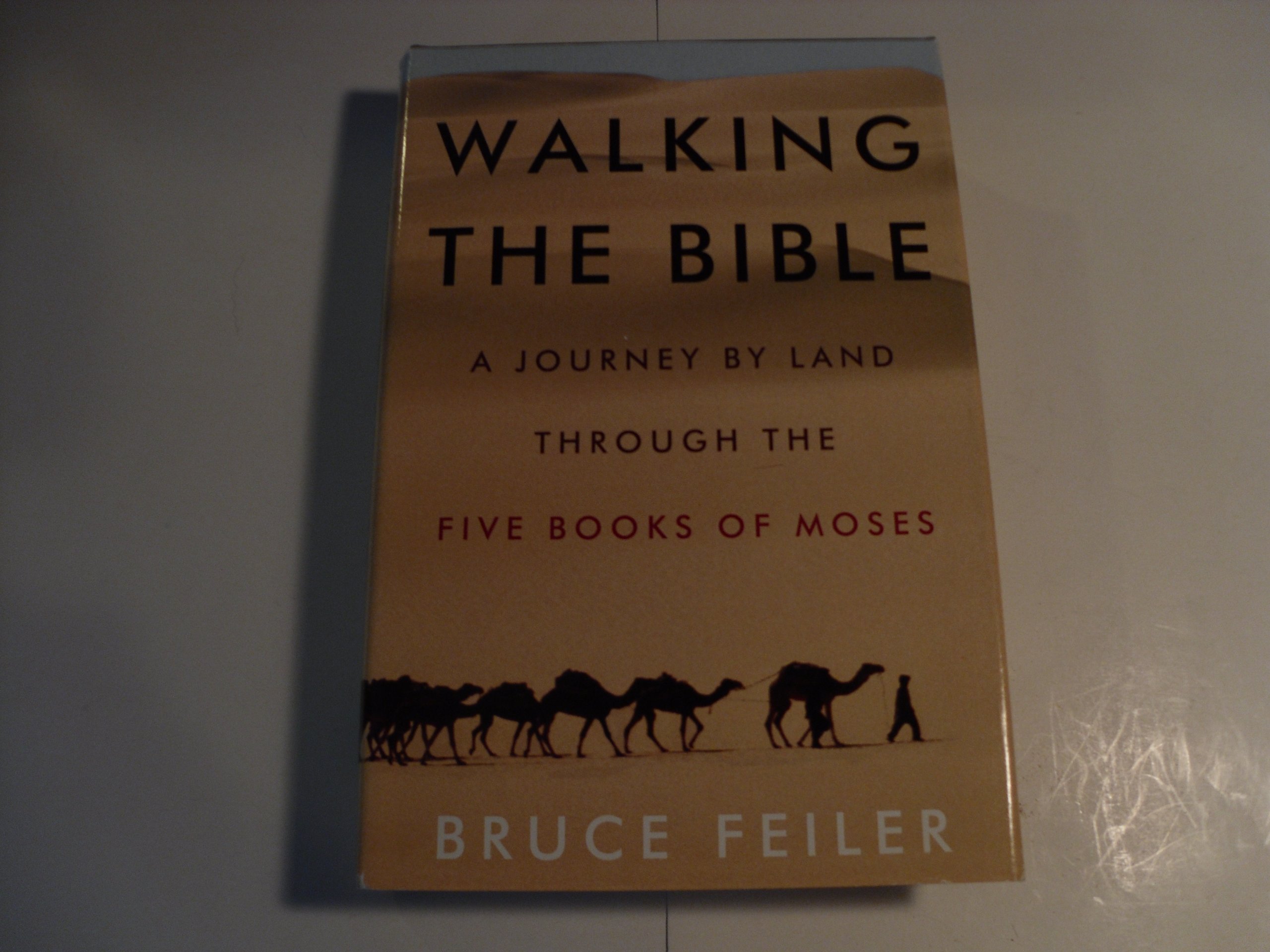 Walking the Bible: A Journey by Land Through the Five Books of Moses