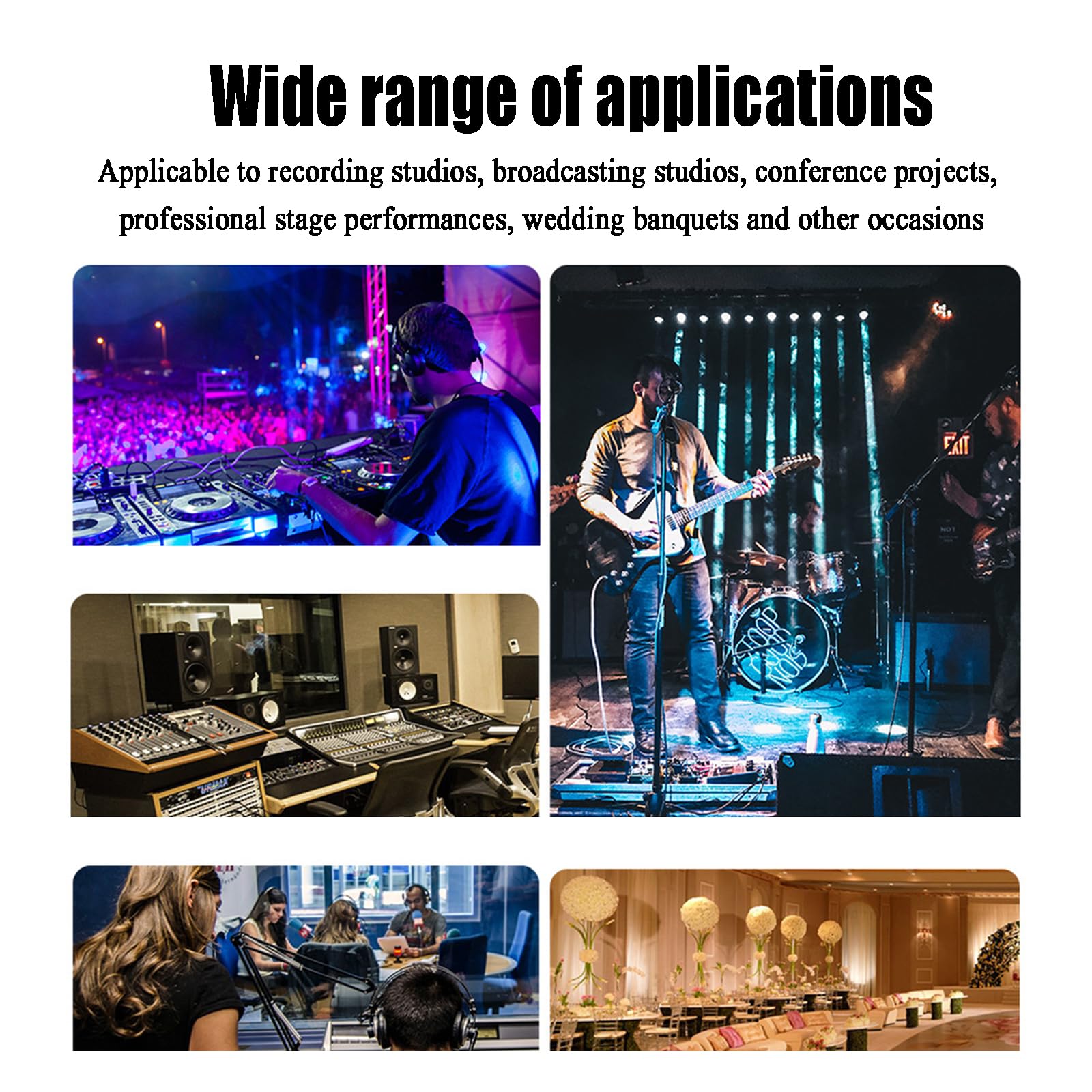 Equalizzatore Audio Professionale, Dual 31-Band con Limitatore di Pressione, Processore di Effetti Digitali Desktop Grafici, Equalizzatore di Sintonizzazione, Regolazione Indipendente