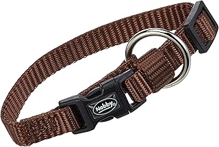 Nobby Dog Collar Classic product image