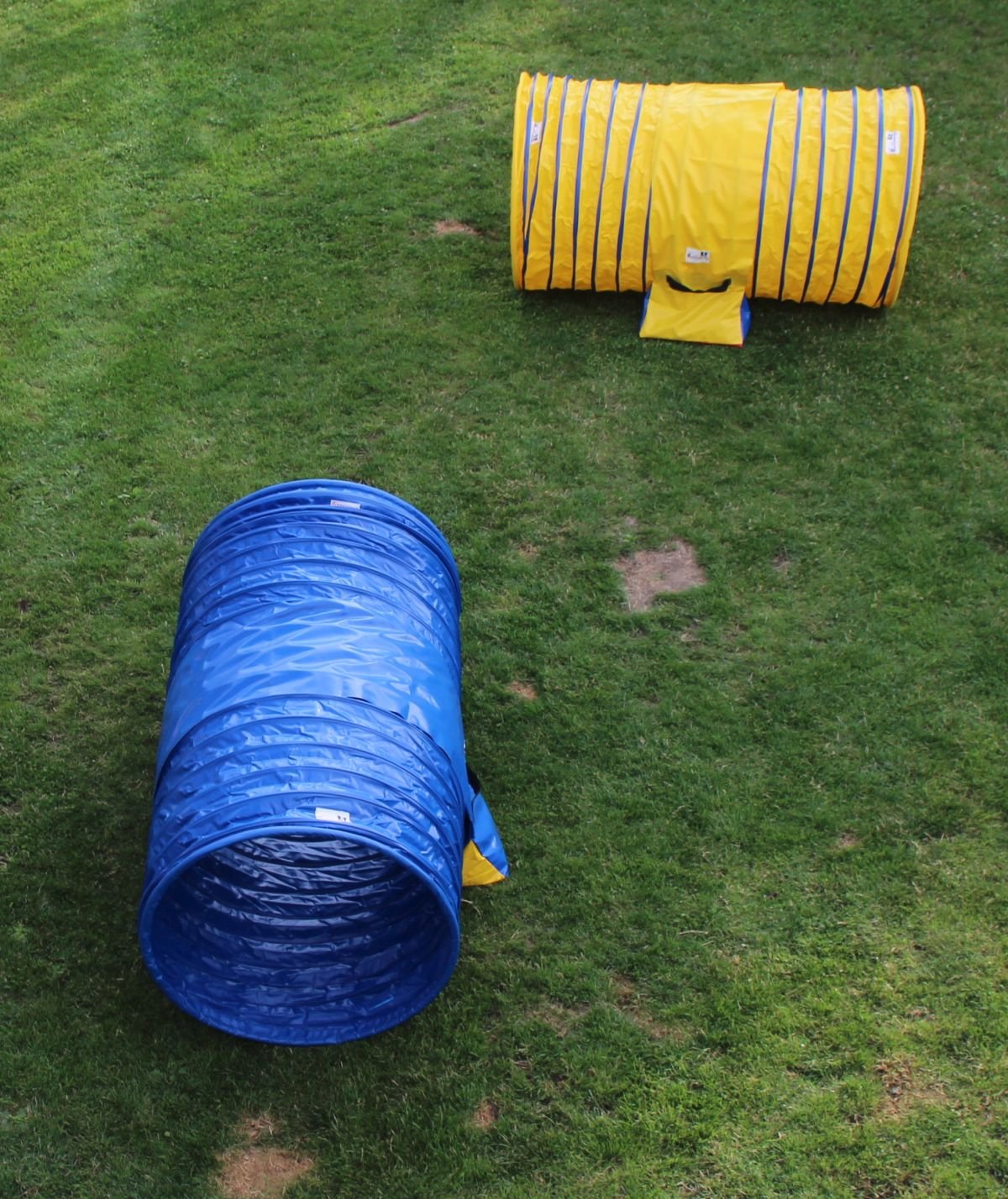 Callieway Hoopers Agility Tunnel Set "Profi" – Orig Tunnel Set per JAD (2 pezzi) per Hoopers & JAD Dog Sport (80 cm Ø 100 cm di lunghezza, blu/giallo)