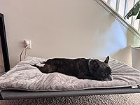 Review Image by JOHN JOHN