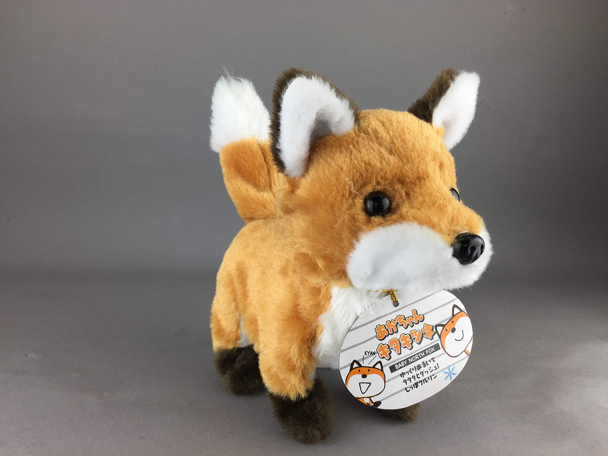 Amazon.co.jp: 石川玩具 あかちゃんシリーズ キタキツネ ぬいぐるみ