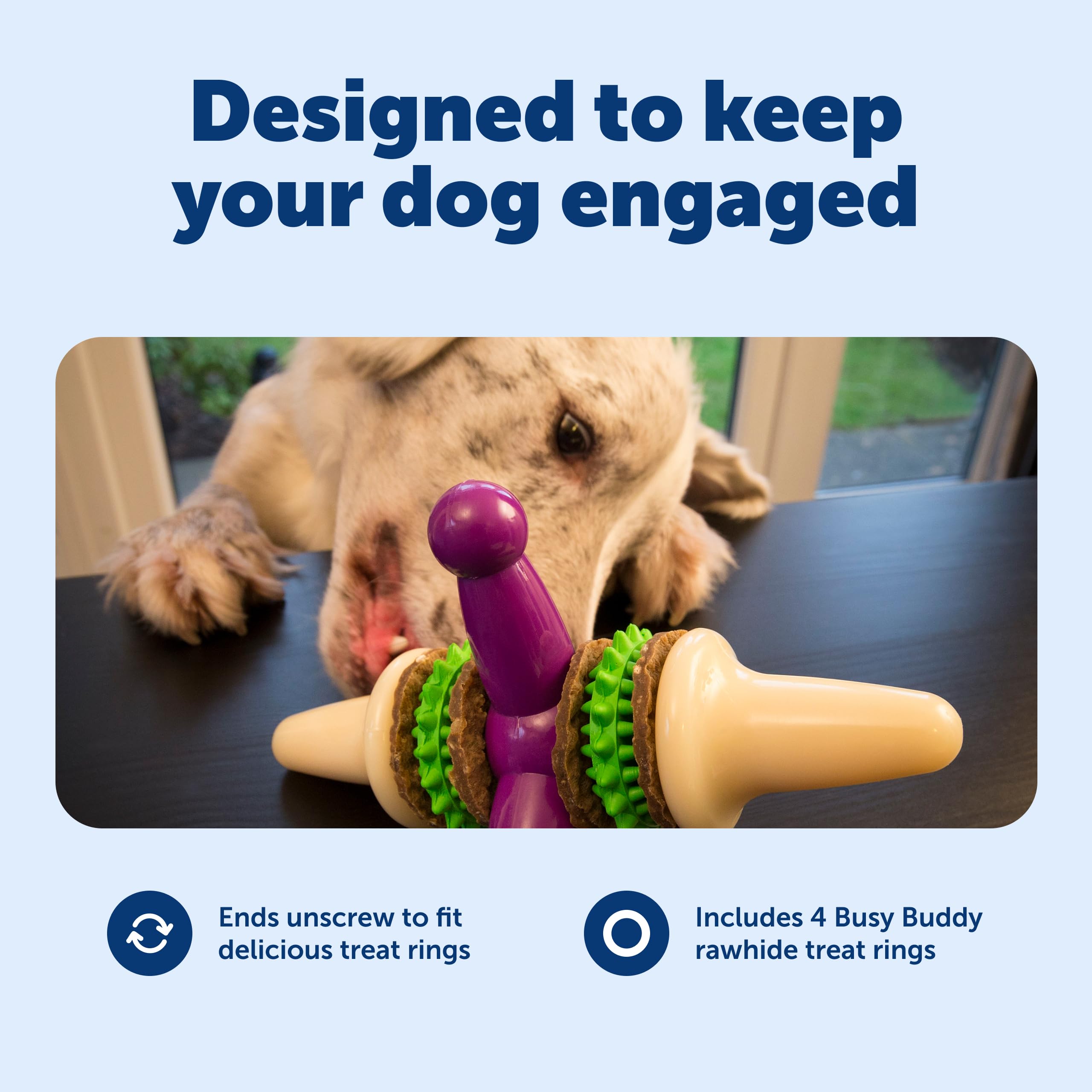 Pet Supplies : Pet Toys : PetSafe Busy Buddy Jack - Treat Holding