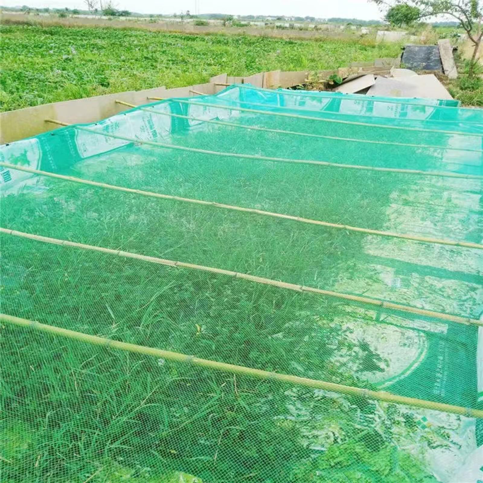 Malla Antigranizo para Huerto y Jardín - Red de Protección contra Granizo, Frutas, Verduras y Cultivos | Resistentes, Duraderas y Fácil Instalación, Malla de 5 MM(4 x 10 M)