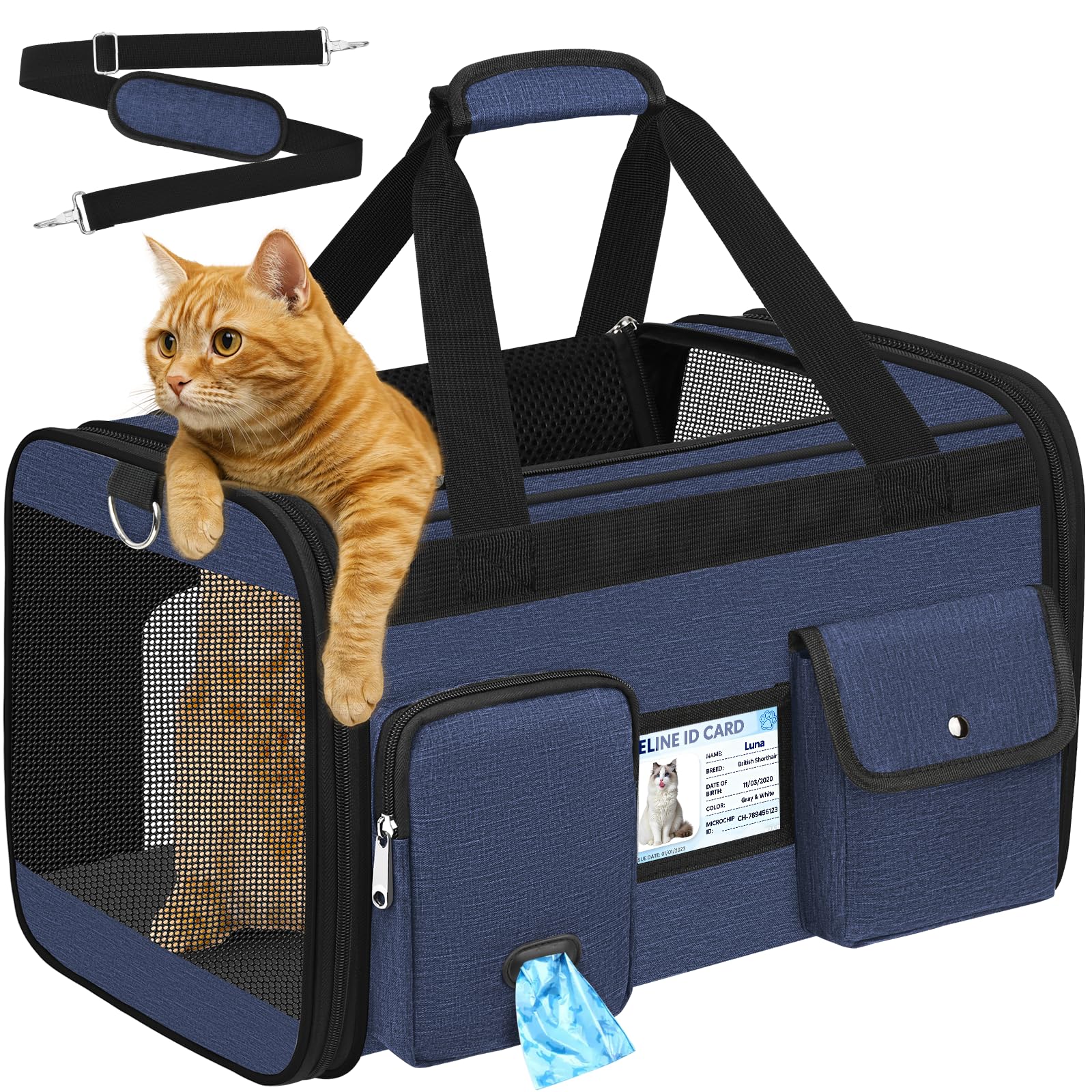 TEUEN Airline Approved Folding Carrier - Travel Bag for Cats and Dogs up to 9 kg, 4 Mesh Sides, Anti-Tear Fabric with Washable Cushion and Safety Strap