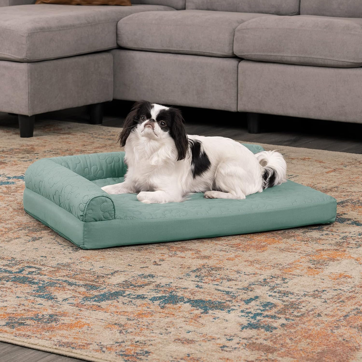 Ultimate Comfort: Review of the Furhaven Orthopedic Dog Bed for Small Pups