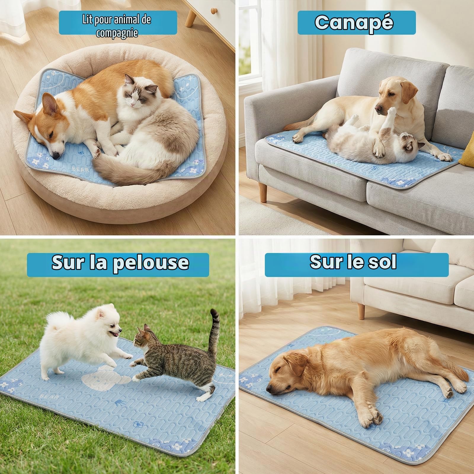 Tapis Rafraîchissant pour Chiens et Chats 50x40cm, Lavable en Machine - Motif Ours Bleu, Matelas Auto-Rafraîchissant en Tissu Glace & Remplissage Latex, Points Anti-Dérapants, pour Maison, Voiture