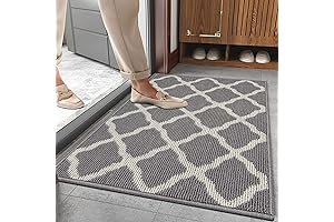 Fresh and Clean Indoor Front Door Entry Rug