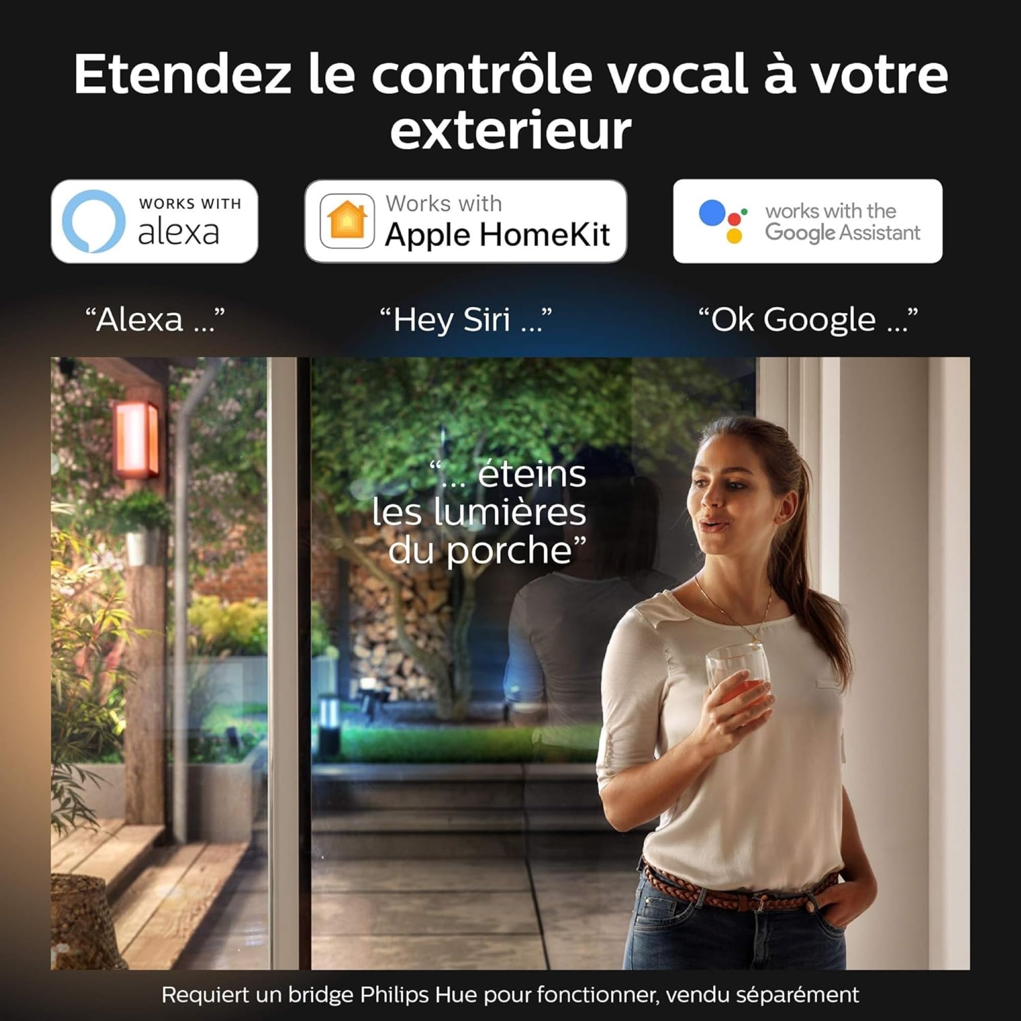 Philips Hue White & Color Ambiance Projecteur Extérieur DISCOVER, Éclairage extérieur en Aluminium Noir, Projecteur lumière compatible avec Alexa, Google Assistant et Apple Homekit