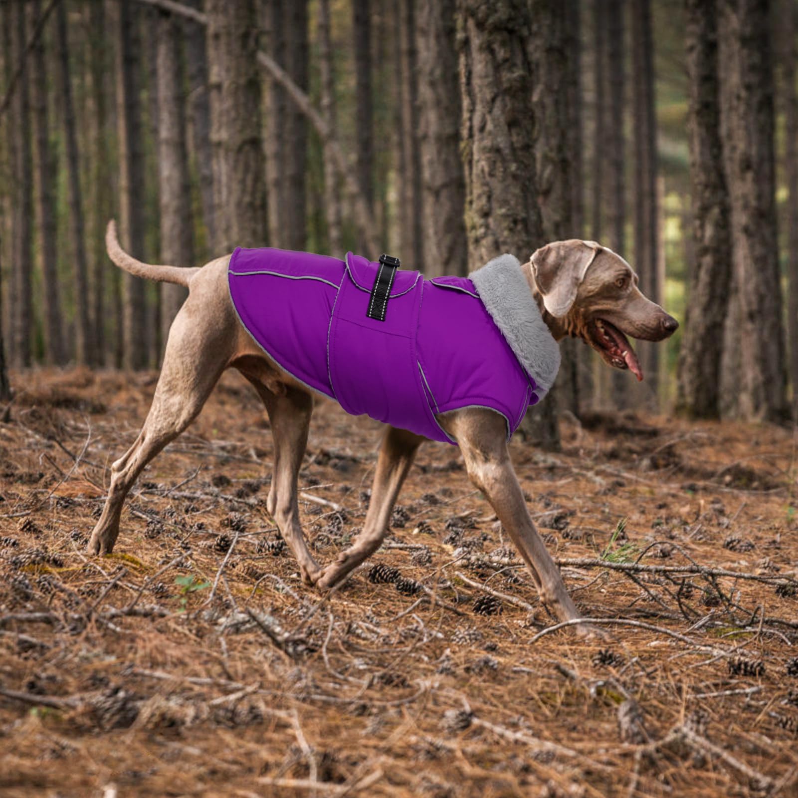 Lelepet Abrigos y chaquetas cálidos para perros, abrigo de invierno impermeable para clima frío, chaqueta acolchada reflectante para perro, abrigo para mascotas con forro polar con agujero para arnés
