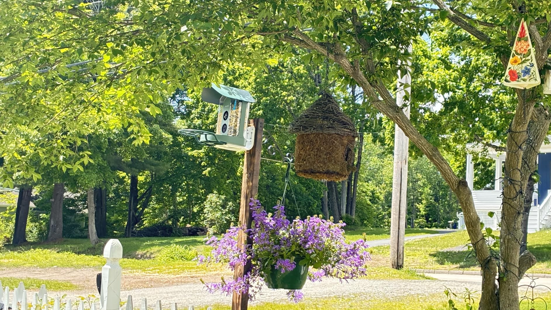 Smart Bird Feeder with 4K AI Camera Solar Powered, 8MP Photos photo review