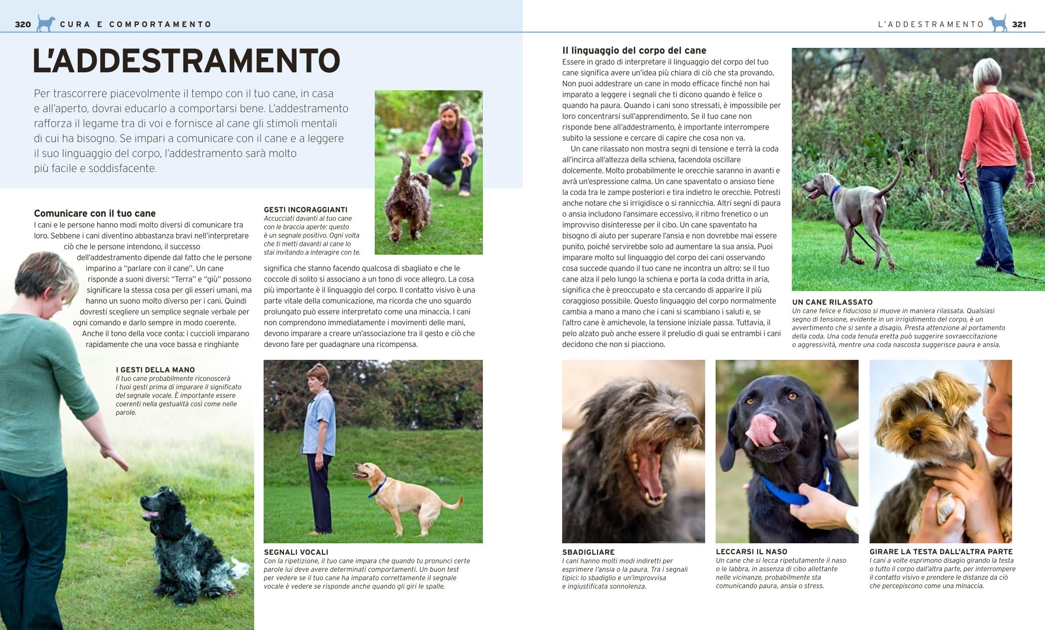 Il grande libro del cane. Tutte le razze: caratteristiche, attitudini, comportamenti e curiosità. Ediz. illustrata