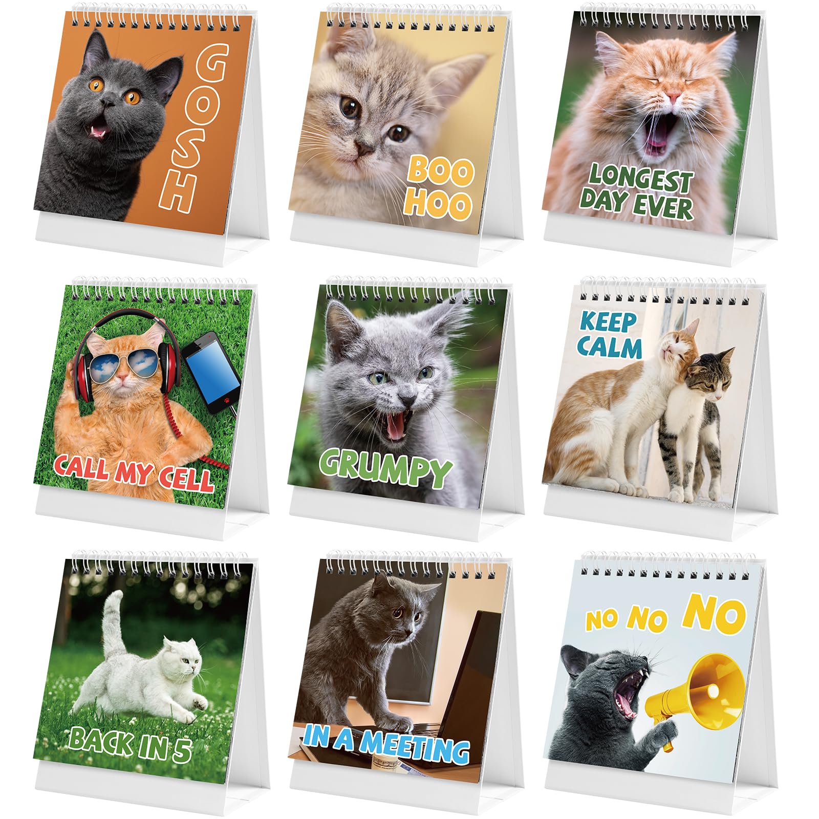 Funny Desk Signs - Cat Desk Accessories with 30 ...