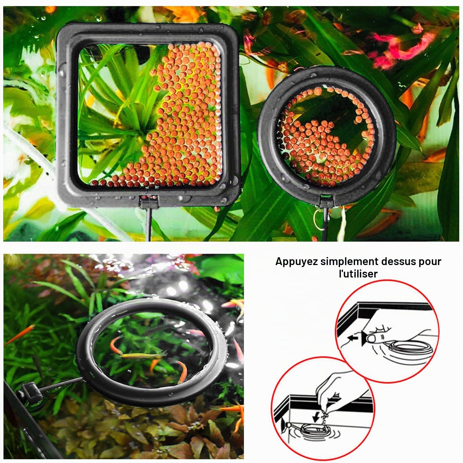 cobee Anneau de Nourriture pour Poissons, 2 pièces Distributeur de Nourriture pour Poissons Aquarium réservoir Accessoires Tortue Distributeur de Nourriture Cercle pour Guppy, bettas (Noir)