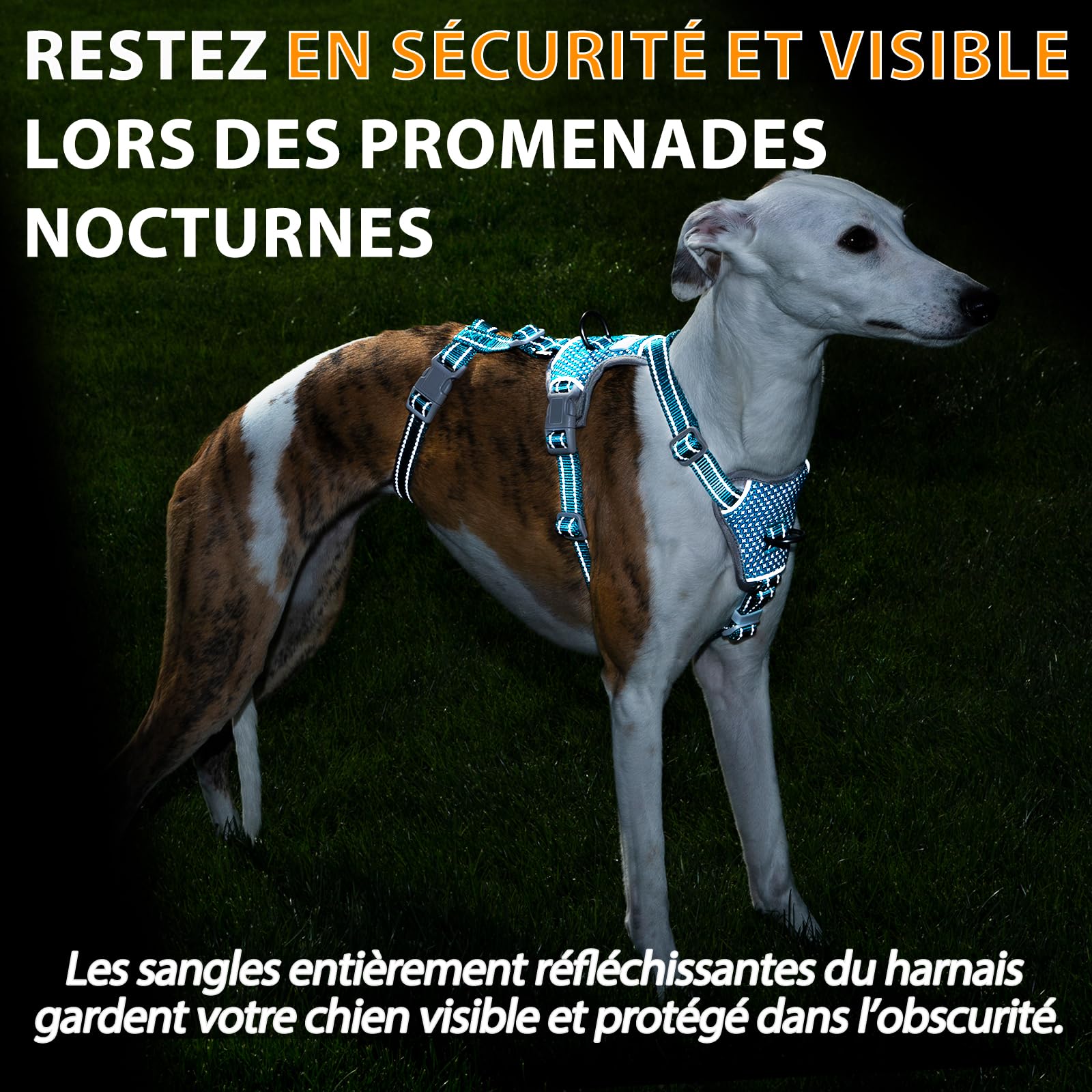 Huntboo Harnais Anti-Fugue pour Chien, Harnais Réfléchissant Anti-Traction pour Petits, Moyens et Grands Chiens, Durable, Réglable et Respirant pour l’Entraînement et la Promenade (Bleu,S)