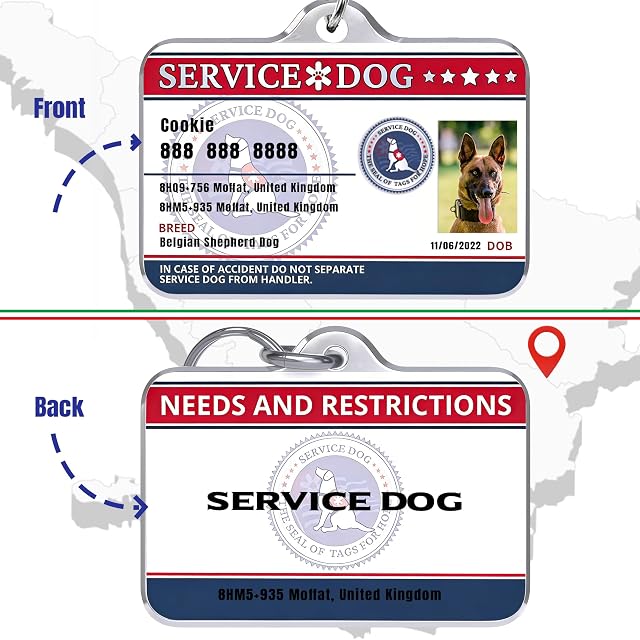 Foto 5 de 6 de Personalizada Etiquetas de Identificación para Mascotas