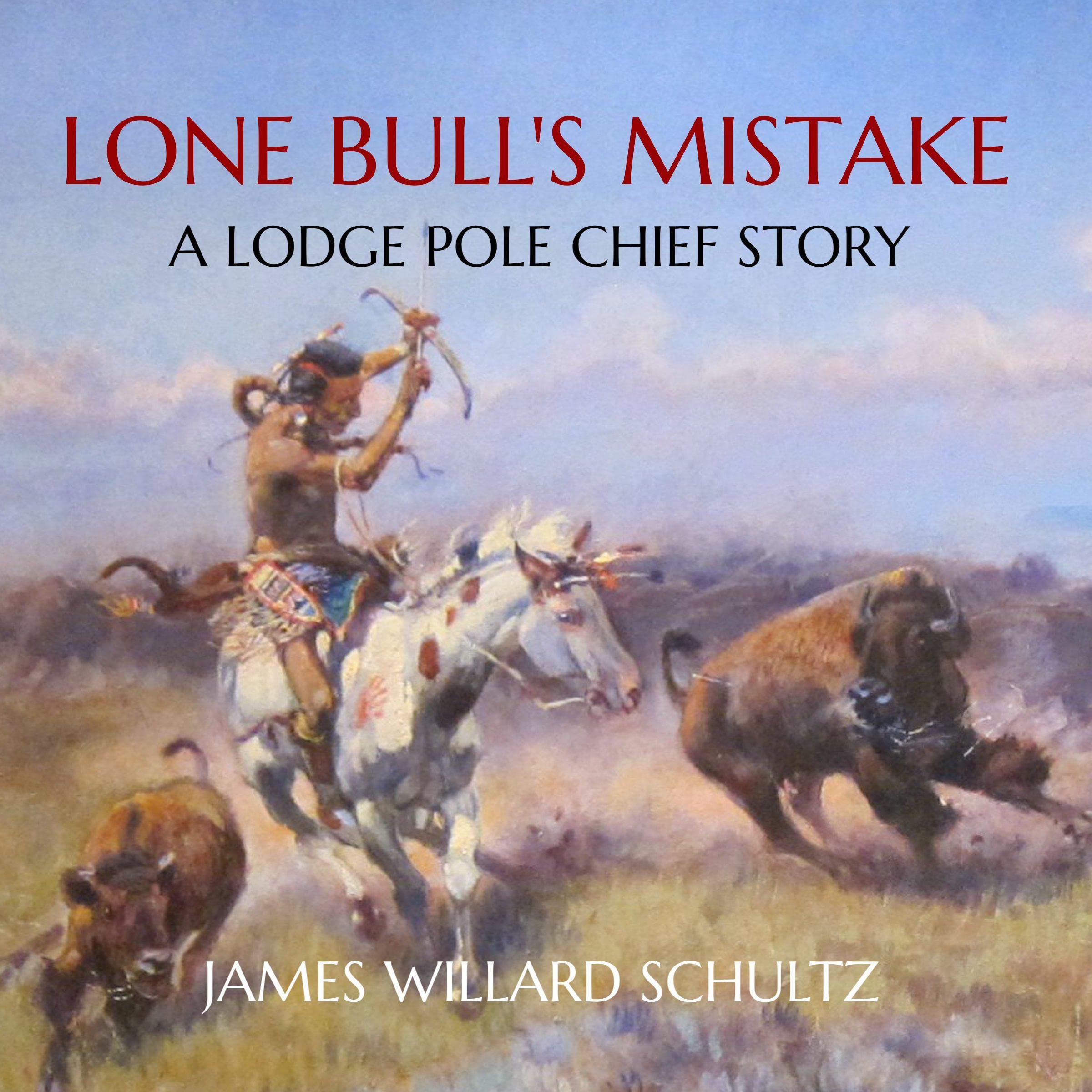 Lone Bull's Mistake