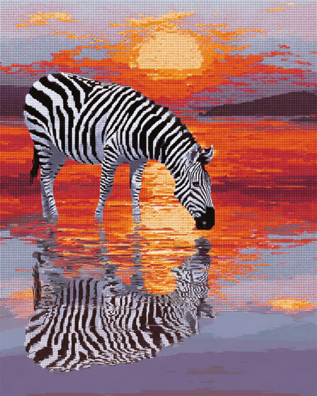 AMBATTERY Animal Latch Hook Kits for Adultscartoon Zebra DIY Crochet Kit Embroidery Set Rug Making Canvas Kits Needlework Crafts for Home Decor 35x46in