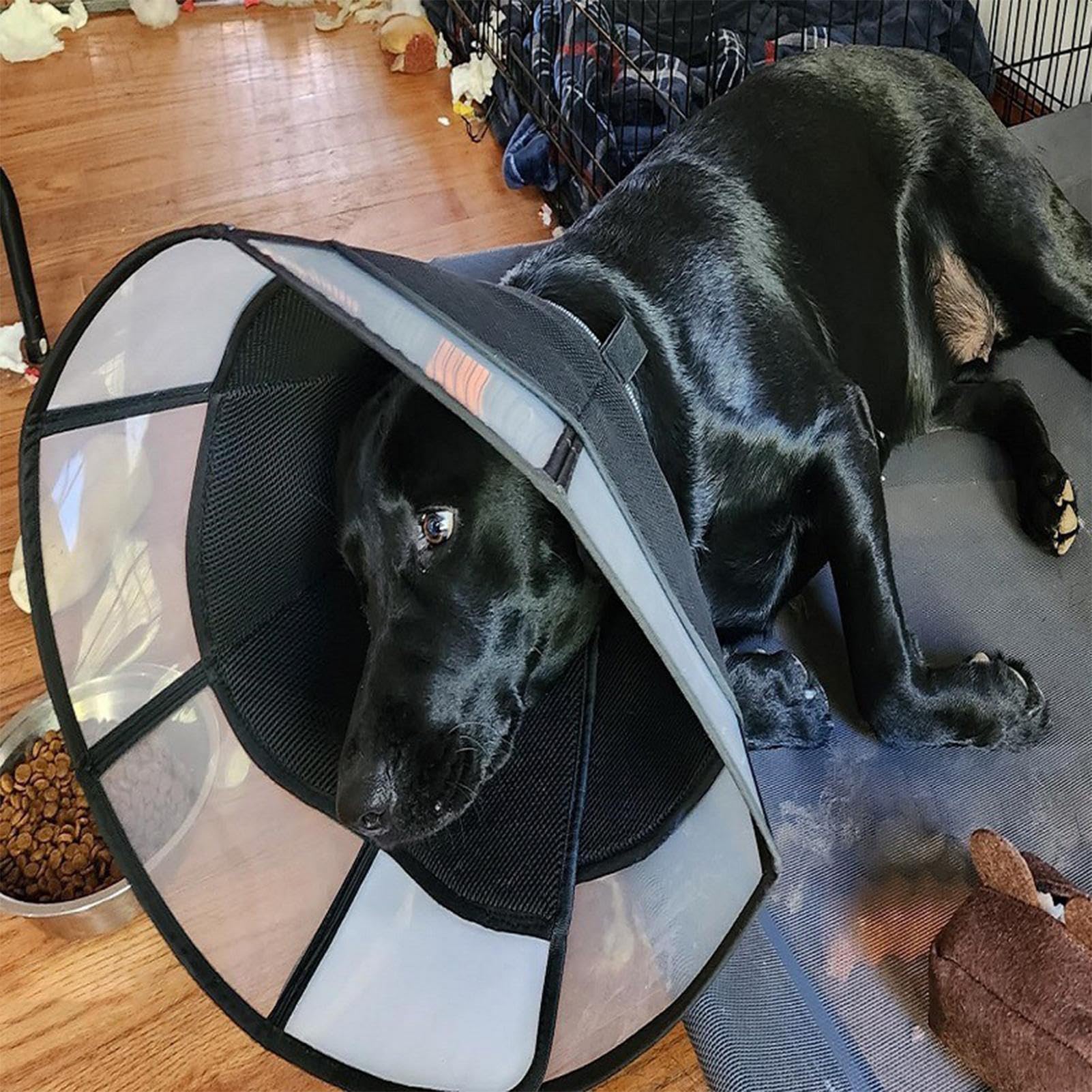 Cono Per Cani Piccoli - Guardia Protettiva Regolabile Anti-Leccamento - Cono Traspirante | Per La Protezione Delle Ferite La Cura Del Collo E La Gestione Della Salute Del Vostro Cane