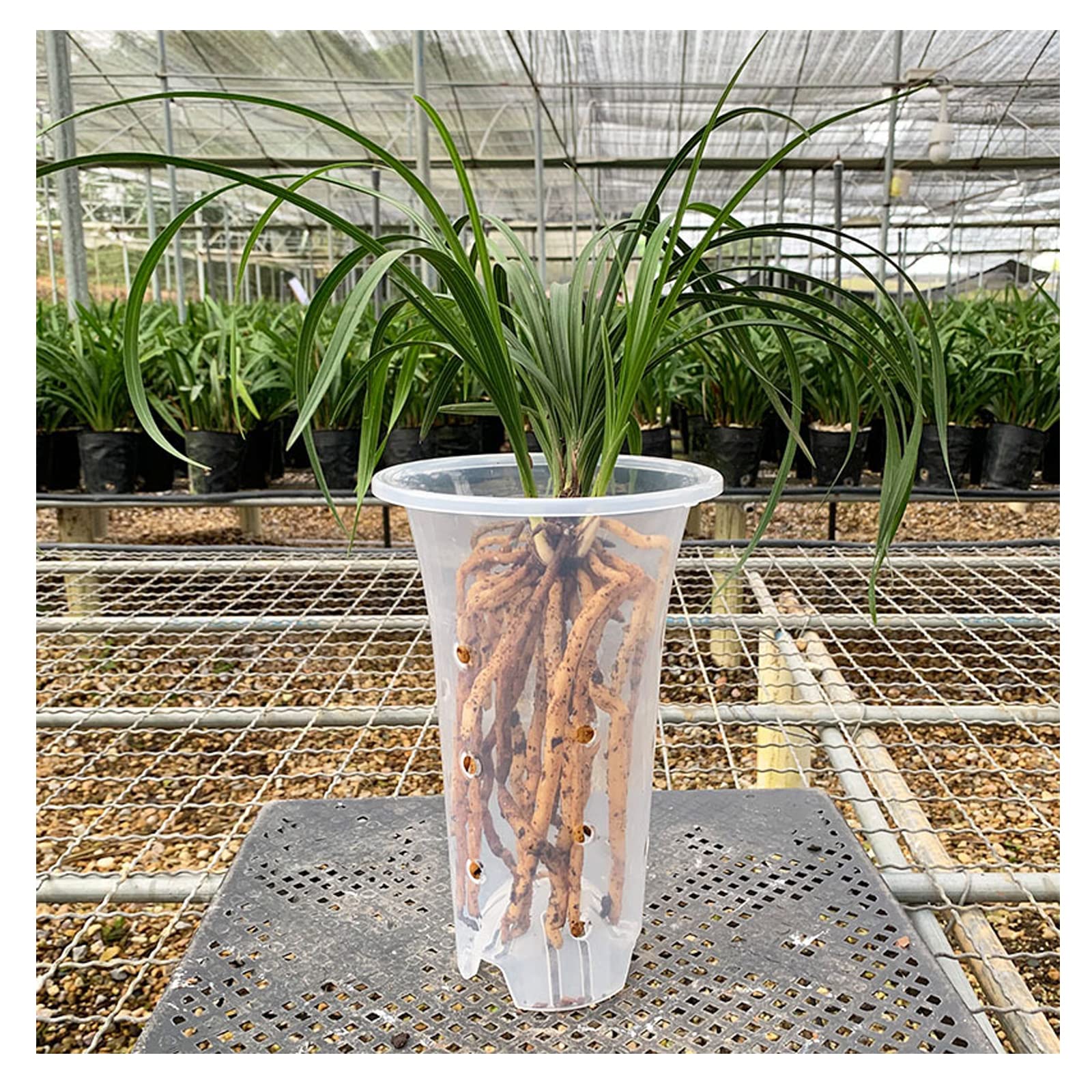 Orchid Pots with Holes, 11 Inch 4 Pack Orchid Pots, Clear Plastic Plant Pots for Orchids Indoor