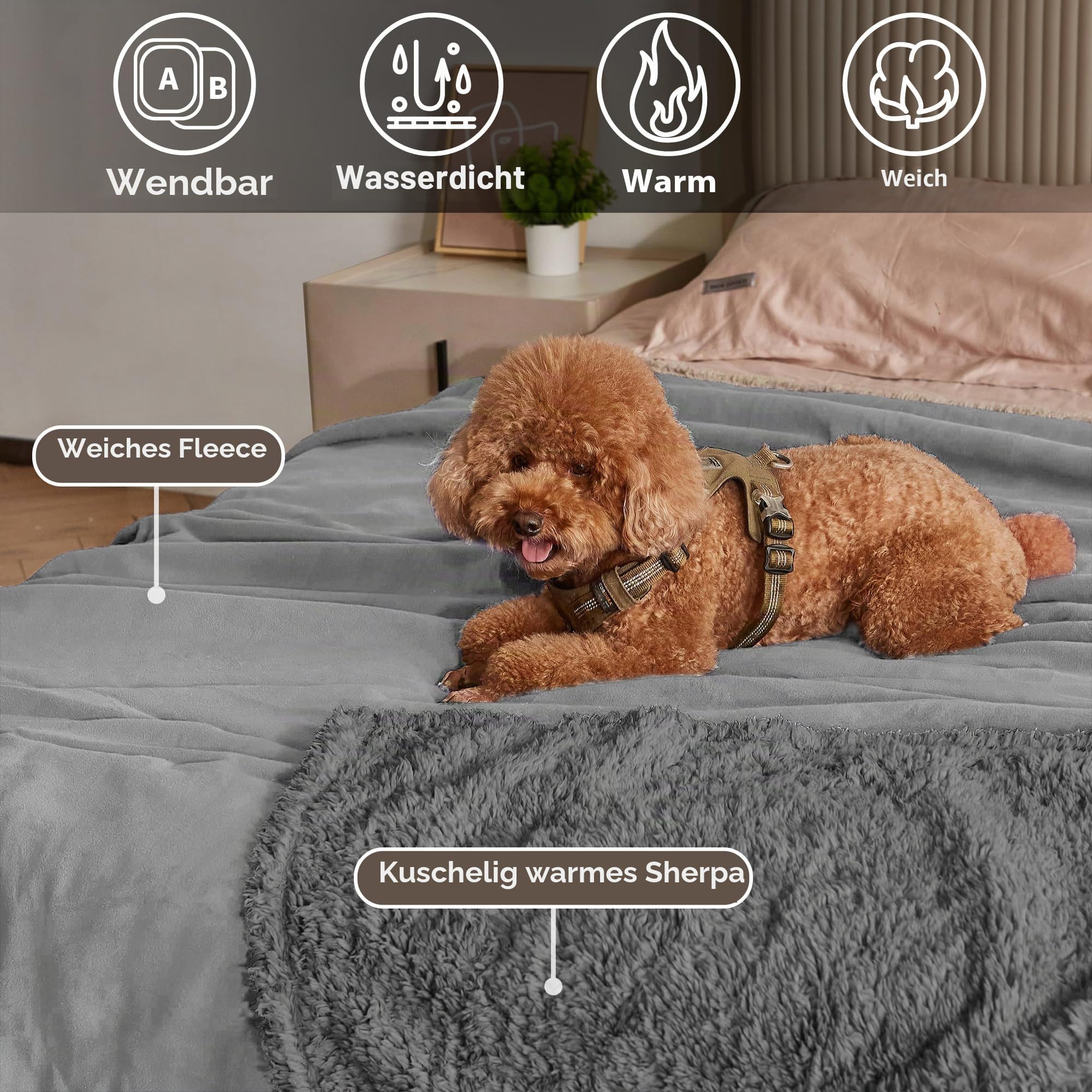 Catalonia Classy wasserdichte Decke, Wasserdicht Hundedecke Waschbar Sofaschutz Couch Überwurf, Wasserdicht Liebesdecke Flauschig Kuscheldecke Bettschutz Tagesdecke,203 x 152cm