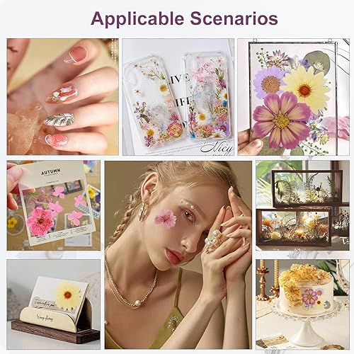 Vista 33 de 104 flores secas prensadas naturales de resina, flores secas para accesorios de resina, flores secas para álbumes de recortes, manualidades, moldes