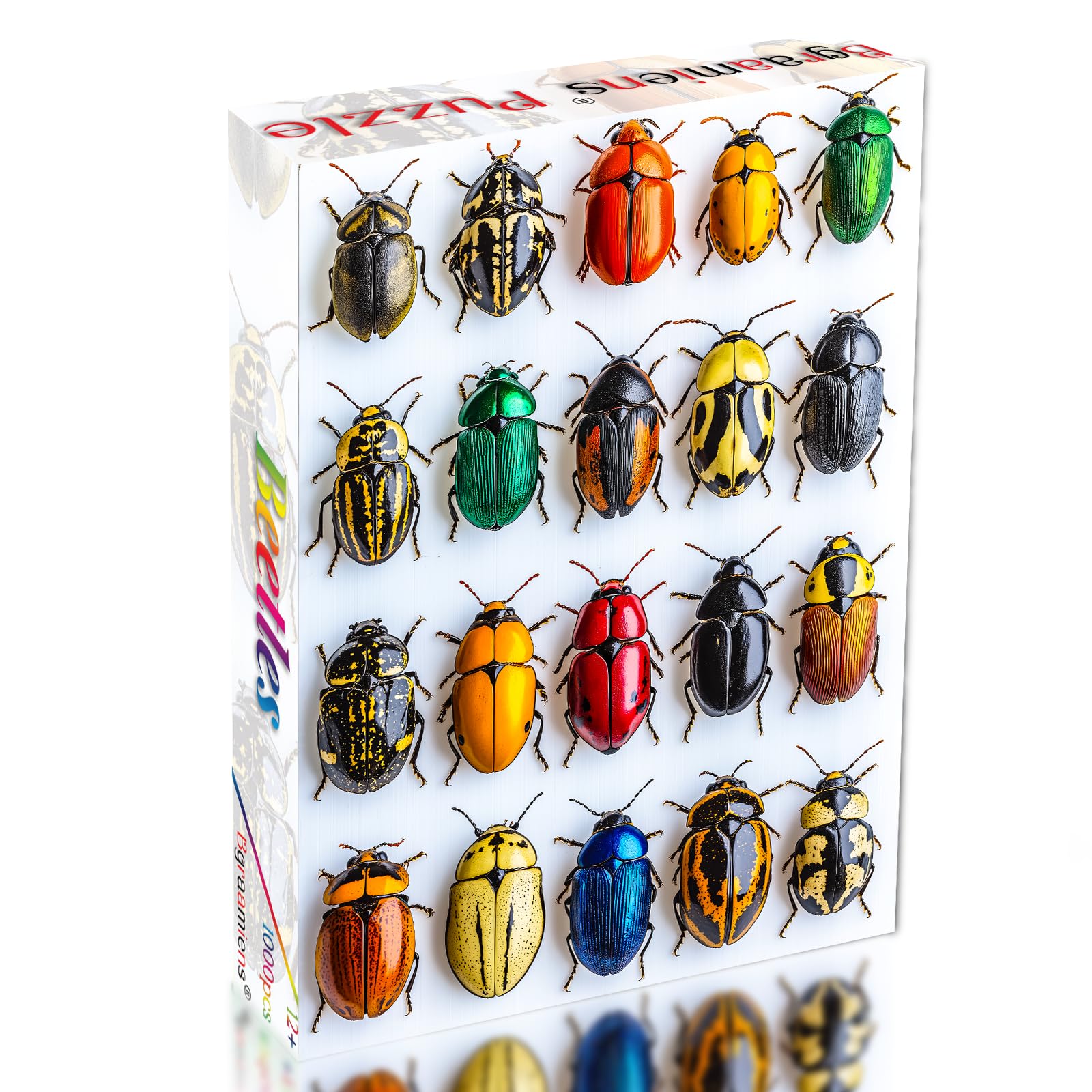 Amazon | Bgraamiensパズル - カラフルなカブトムシのジグソーパズル