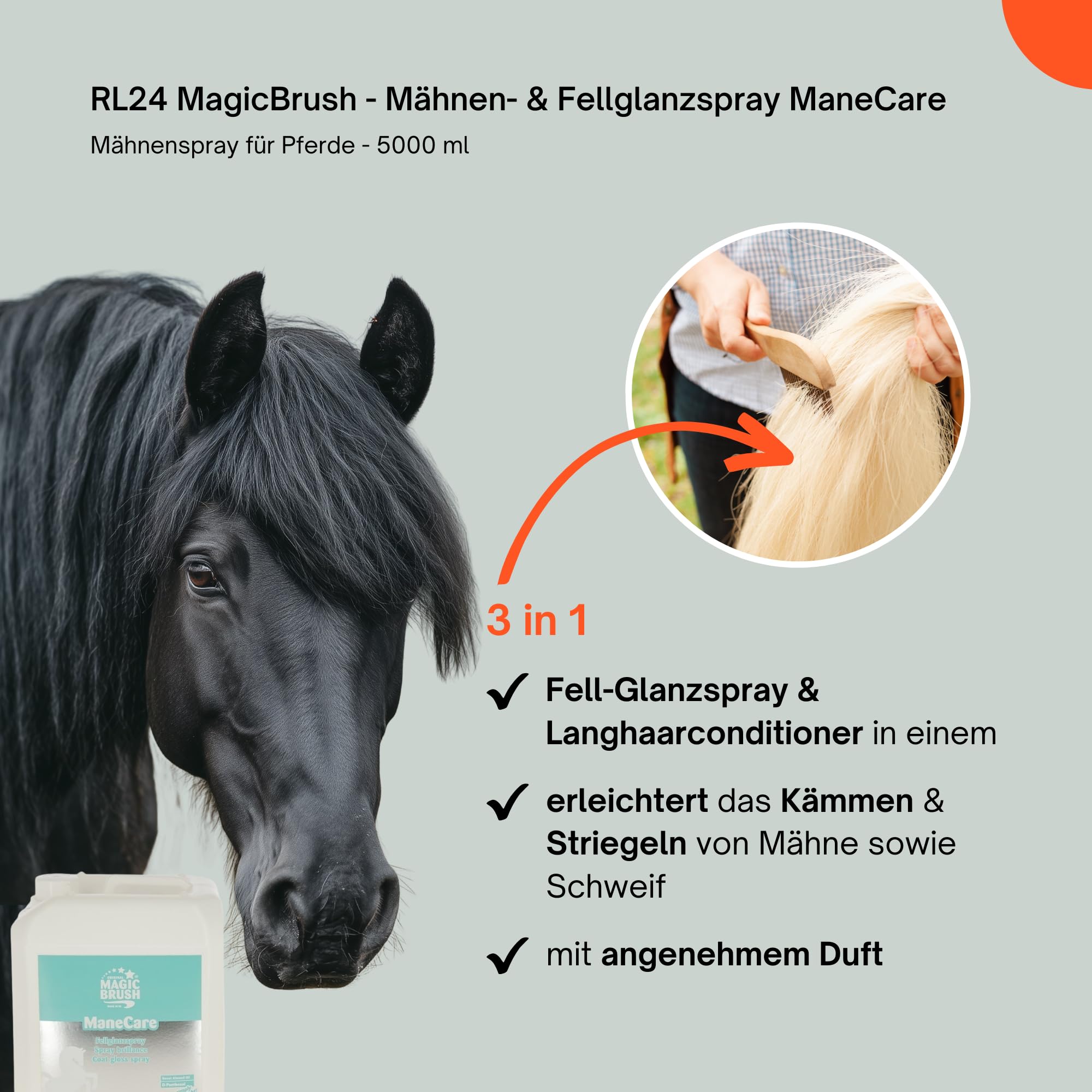 RL24 MagicBrush - Mähnen- & Fellglanzspray ManeCare – 1 x 5000 ml | Kanister – Mähnenspray für Pferde – Leichtkämmspray für seidigen Glanz – Pferde Mähnenspray & Schweifspray