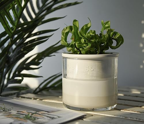 Miniatura 7 de Phoenix Vine Maceta de terracota de 4 pulgadas, maceta de terracota de diseño para plantas, maceta cilíndrica de terracota de interior con juego de