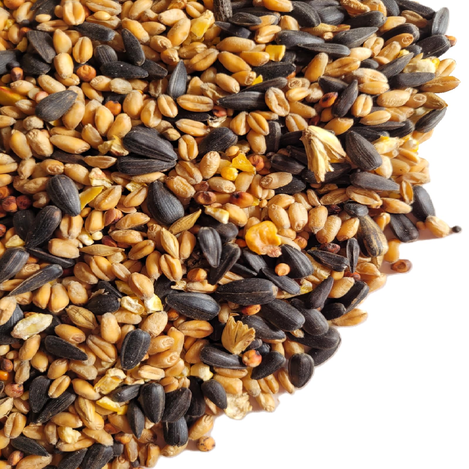 (10kg) Xtra Wild Bird Food with Aniseed Seed | By PawMits Pet Supplies