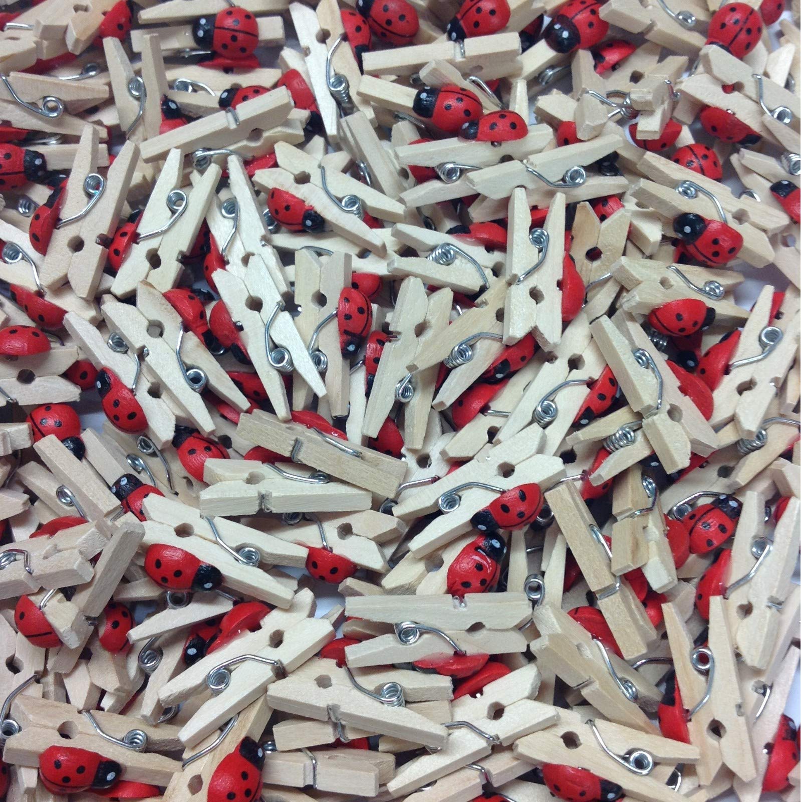Celloexpress Natural Peg Ladybirds Pack Of 100-25Mm Mini Wooden Natural Pegs With Ladybirds