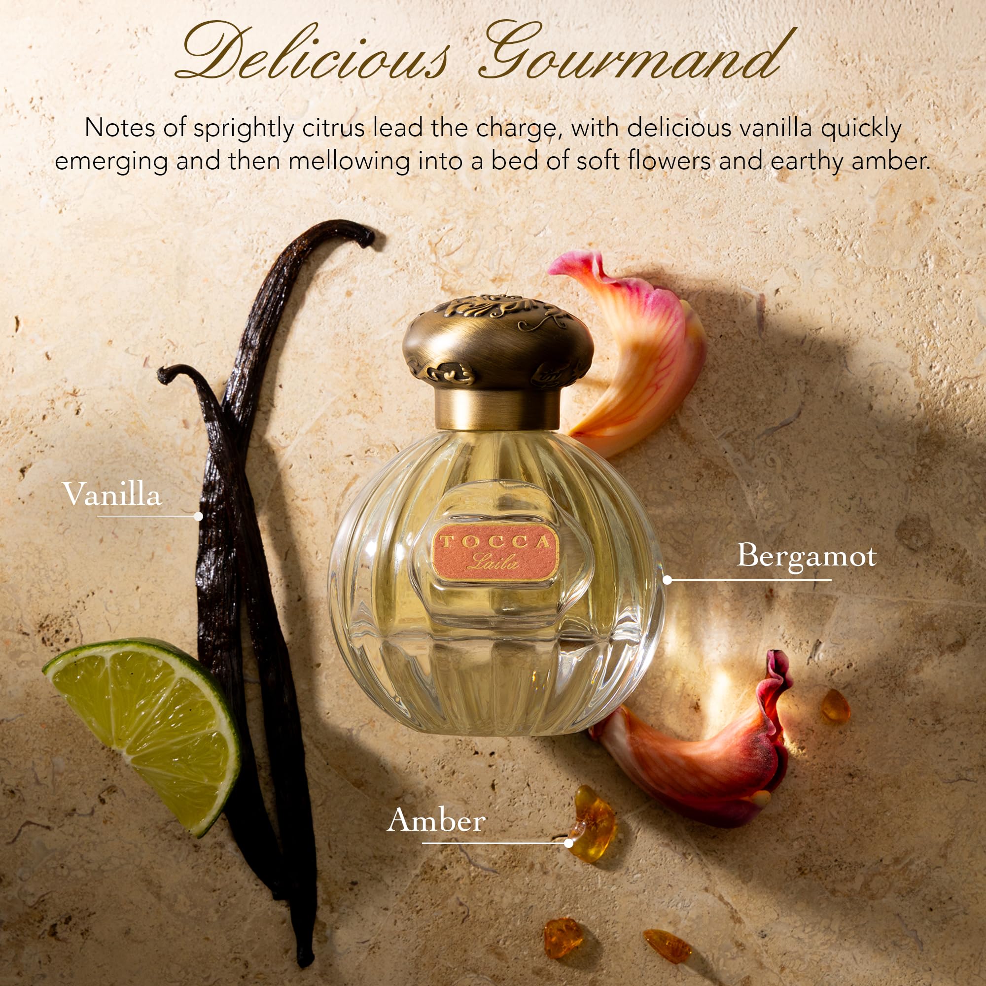 Amazon.com: TOCCA: Eau de Parfum