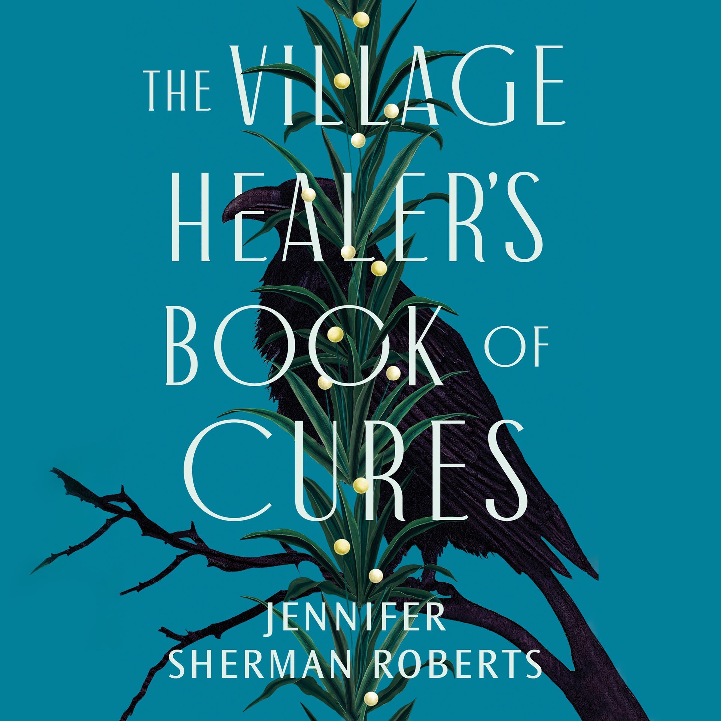 Cover art for The Village Healer's Book of Cures