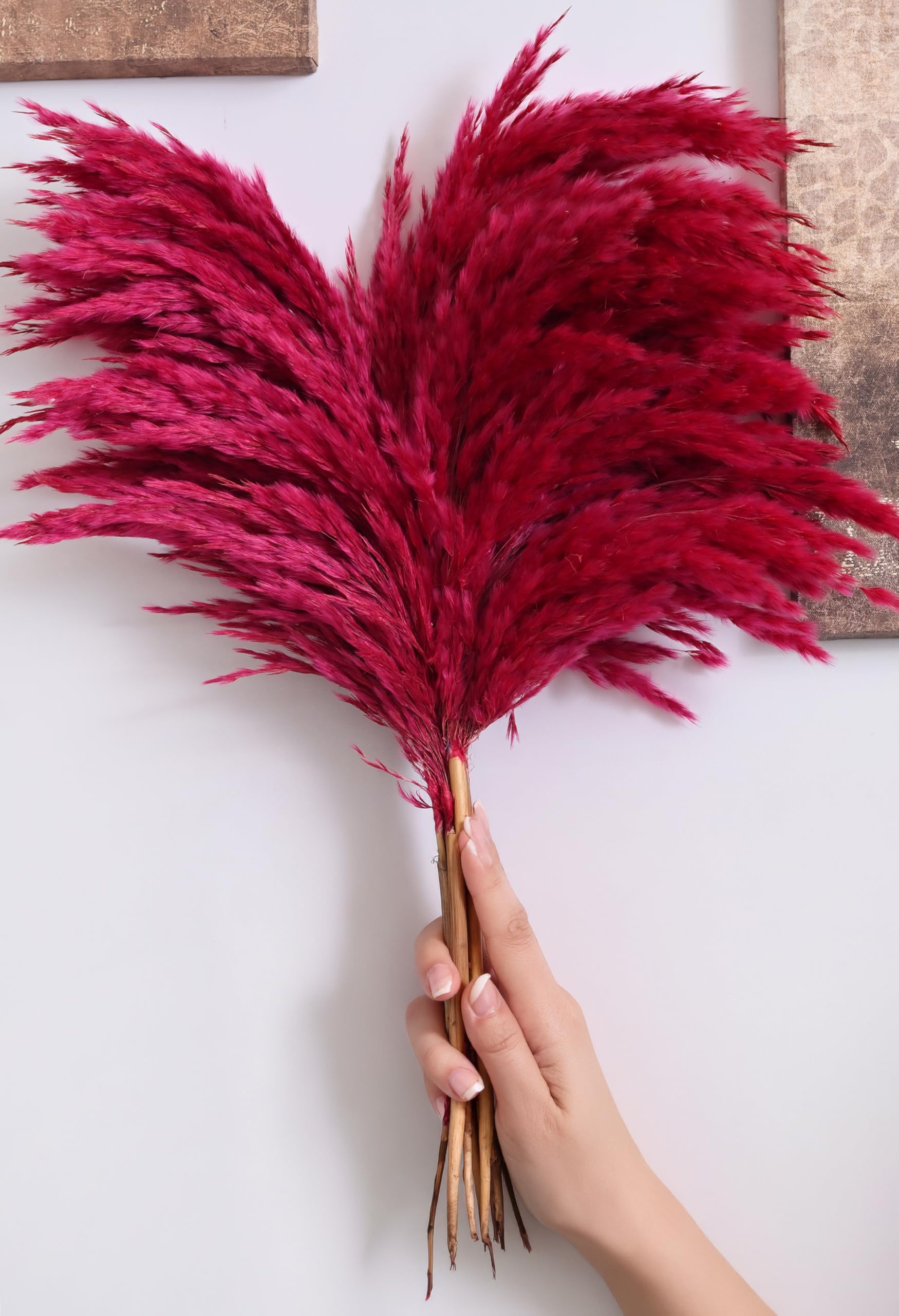 Versailles Preserved Red Pampas Grass Bundle - Decorative Dried Grass for Home Decor, Wedding Arrangements, Vase Styling, and DIY Crafts - Bold and Vibrant Natural Decor-image-43