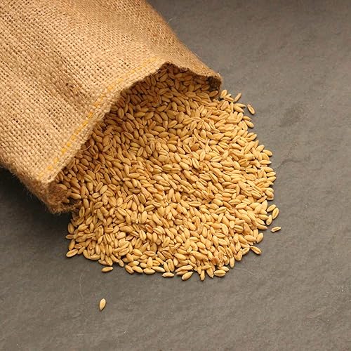 Miniatura 6 de Trigo blanco suave  orgánico  práctica marca Pantry  perfecto para almacenamiento de alimentos, harina, hornear, espoletas y más