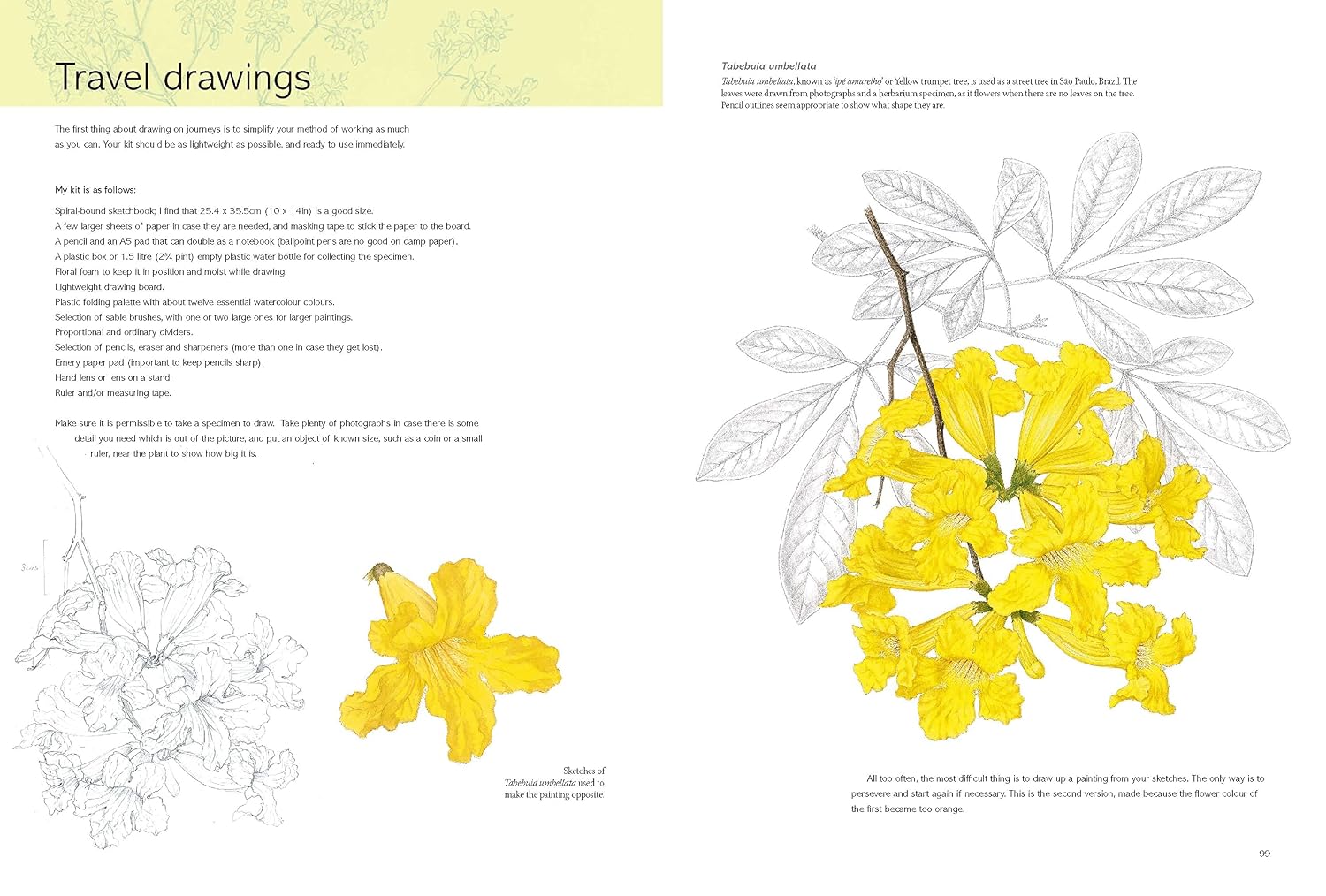 Kew Book of Botanical Illustration